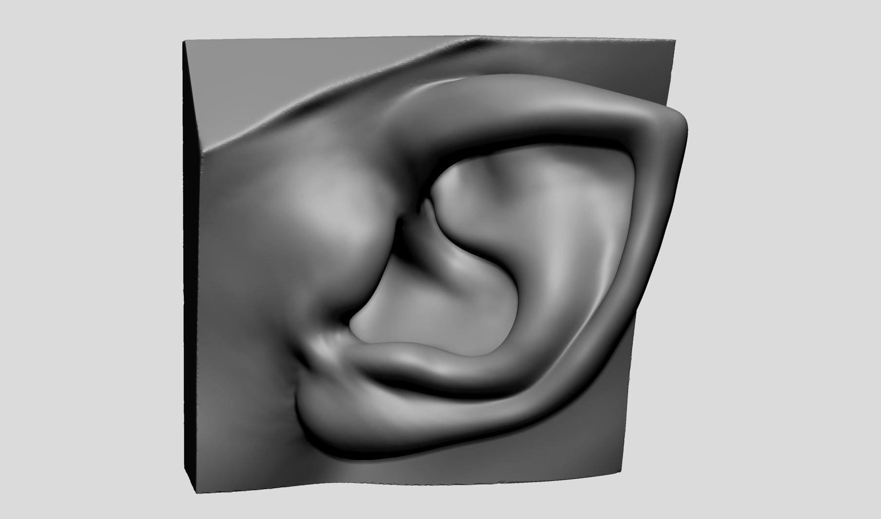 Ear Models 3D model_1