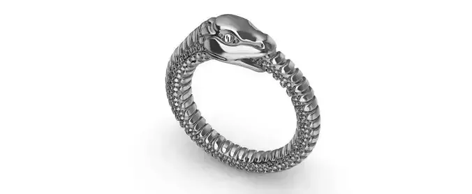 Ouroborus Ring