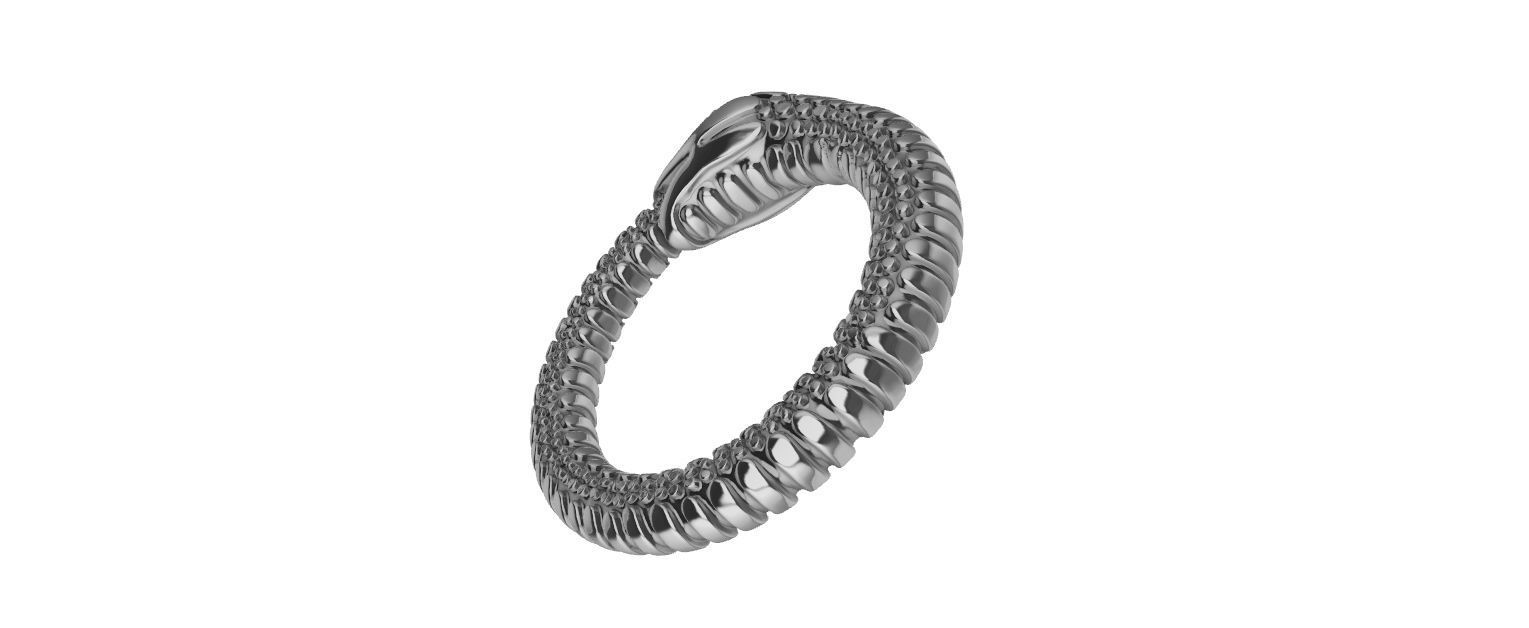 Ouroborus Ring 3D print model_11