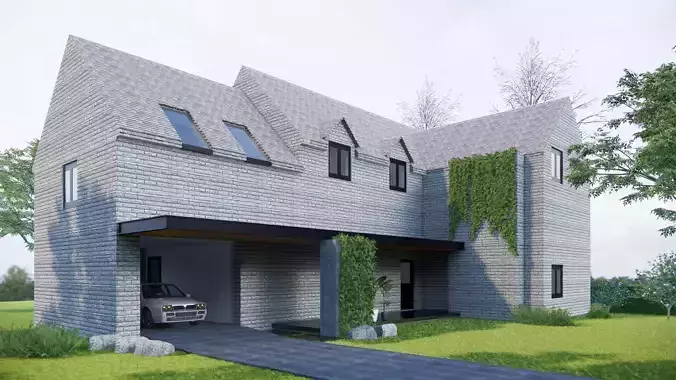 classic unique house