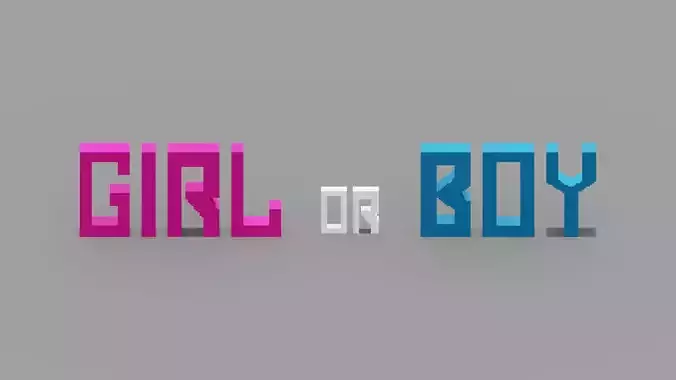 Girl or Boy 