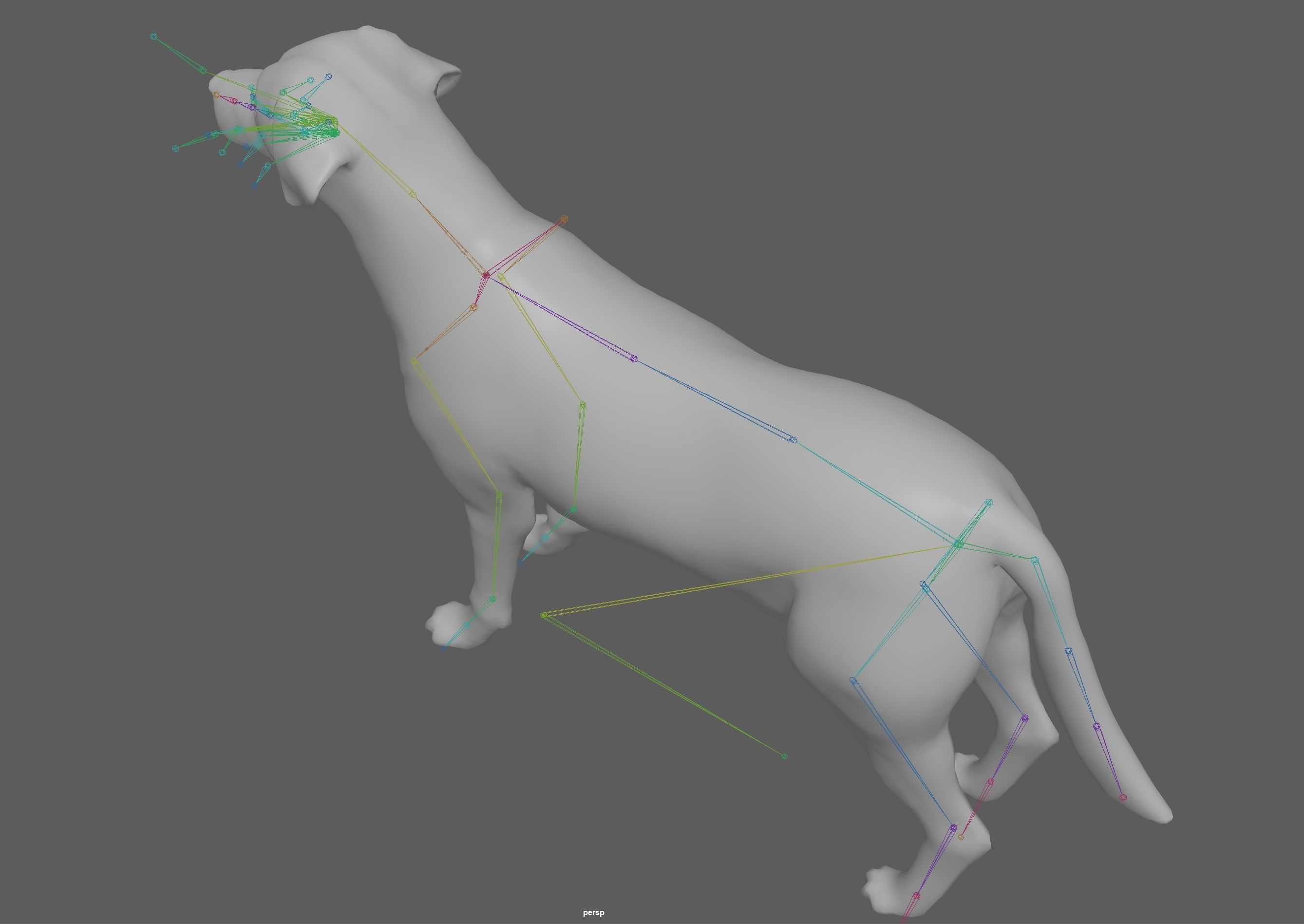 Dog - Labrador Retriever Rig 3D model_22