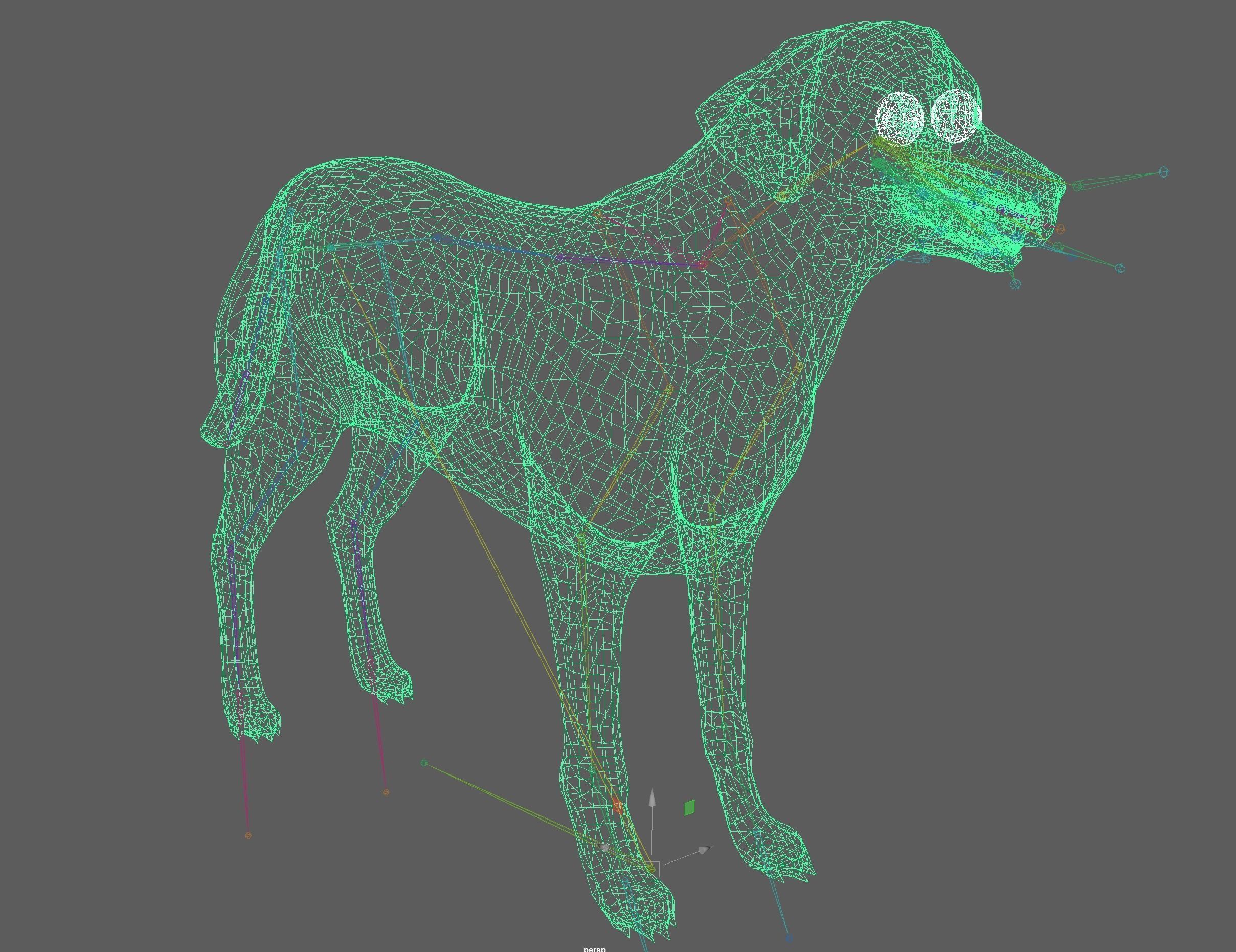 Dog - Labrador Retriever Rig 3D model_16