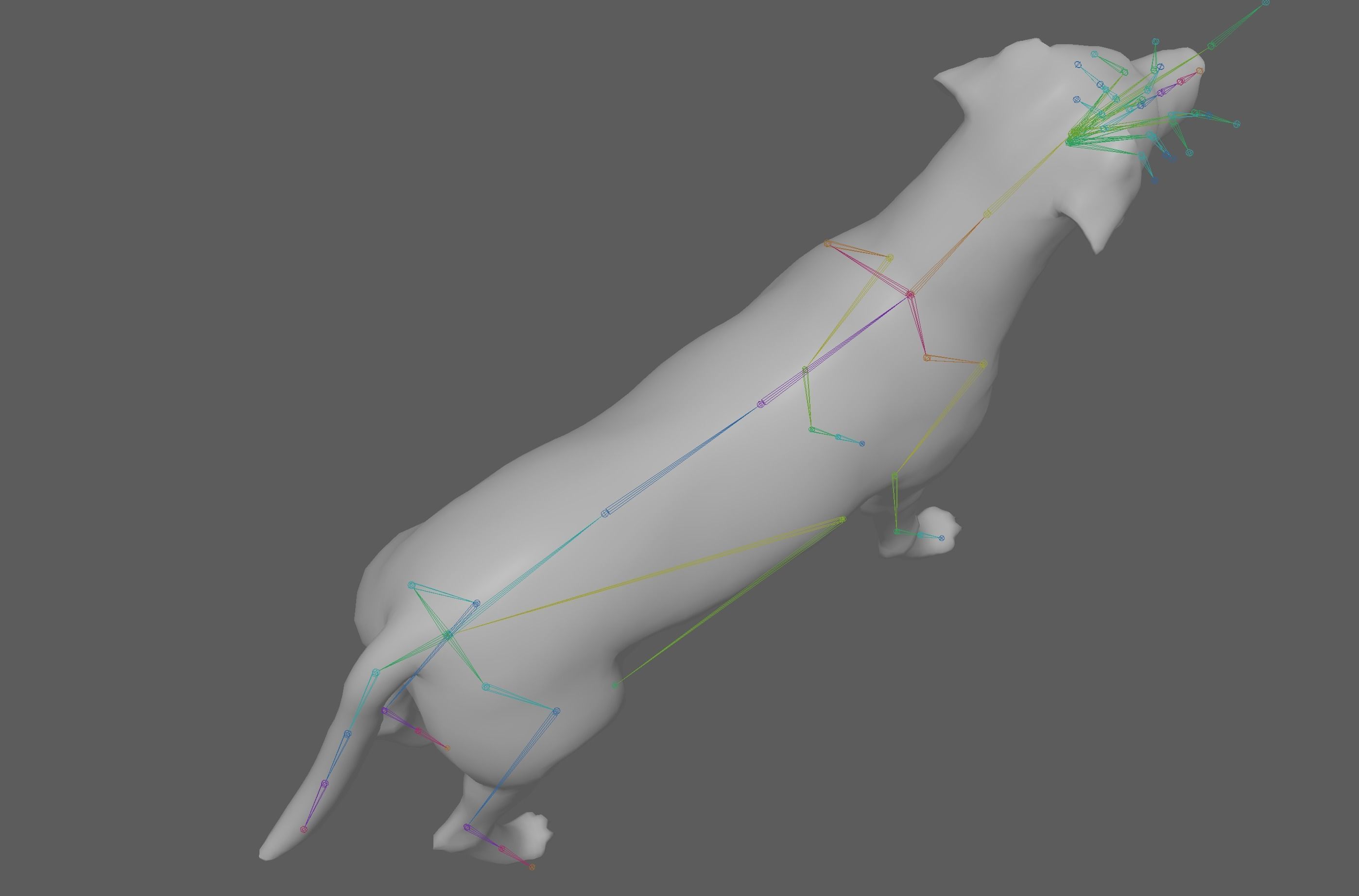 Dog - Labrador Retriever Rig 3D model_10