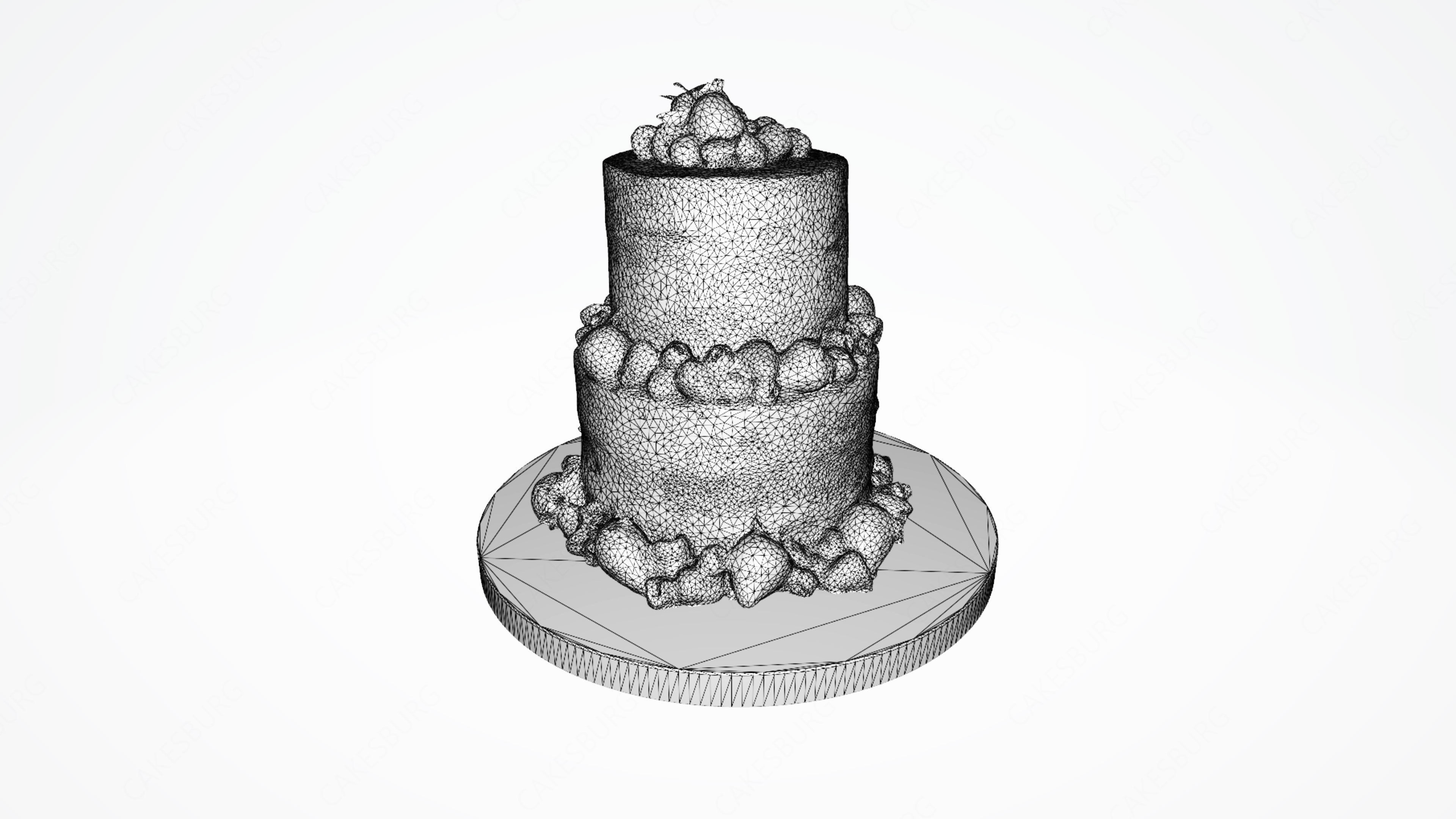 Semi Naked Berry Cake 3D model_6