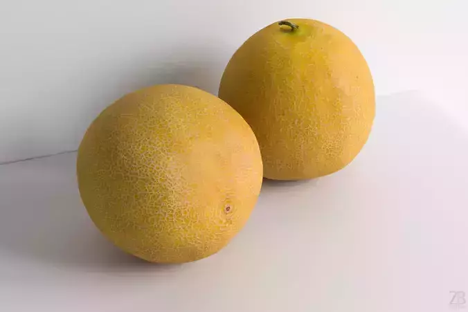 Melon 3D model