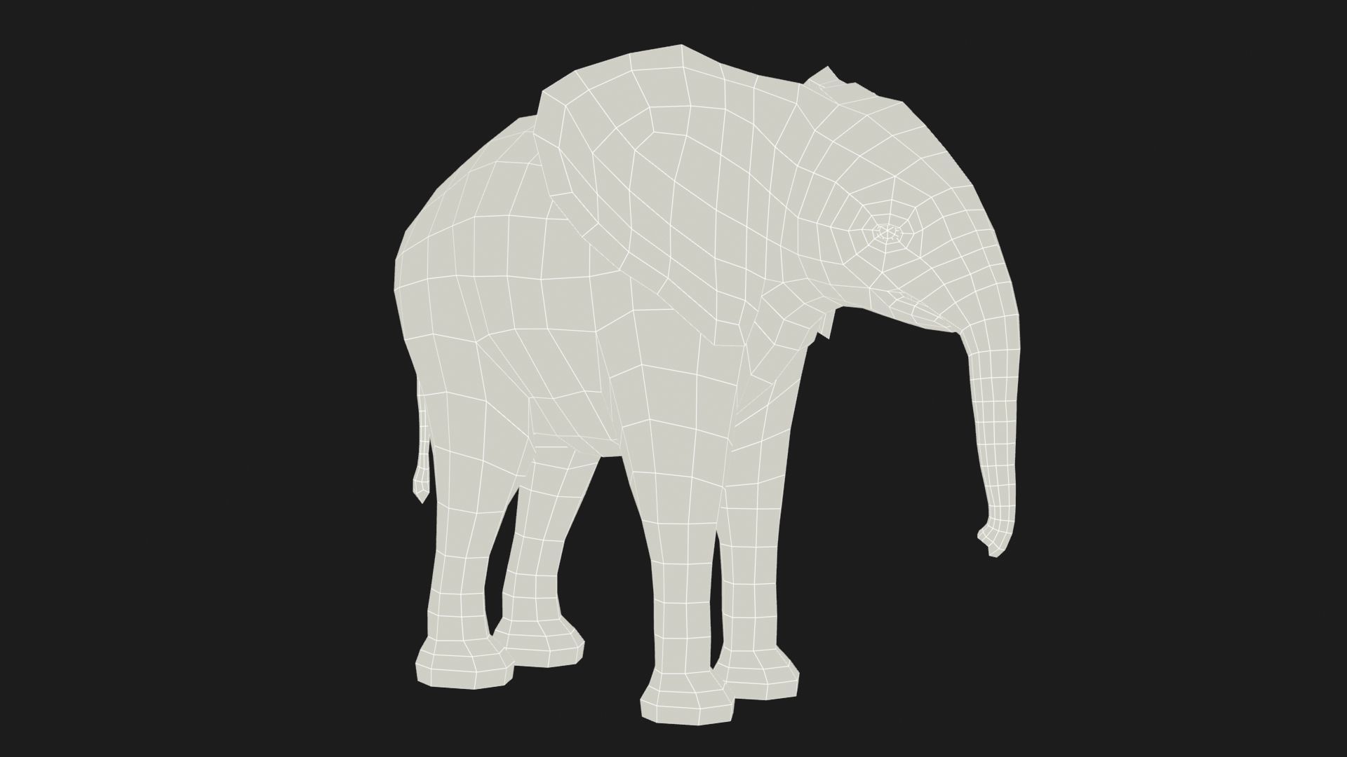 African Elephant Calf Low-poly 3D model_9