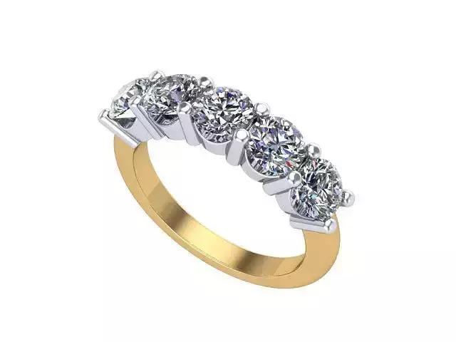 Gold and Silver Round Diamond Ring 