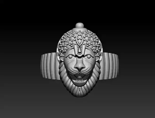 Narasimha Ring