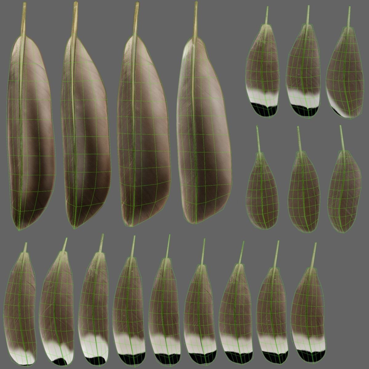 Mallard Female Animated VFX Grace 3D model_38