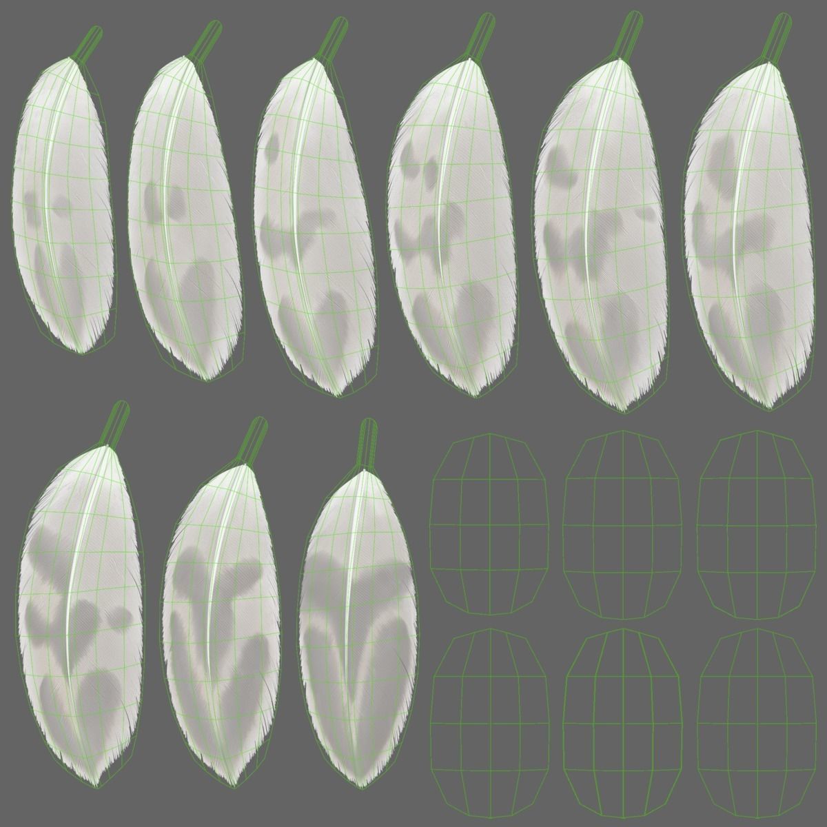 Mallard Female Animated VFX Grace 3D model_35