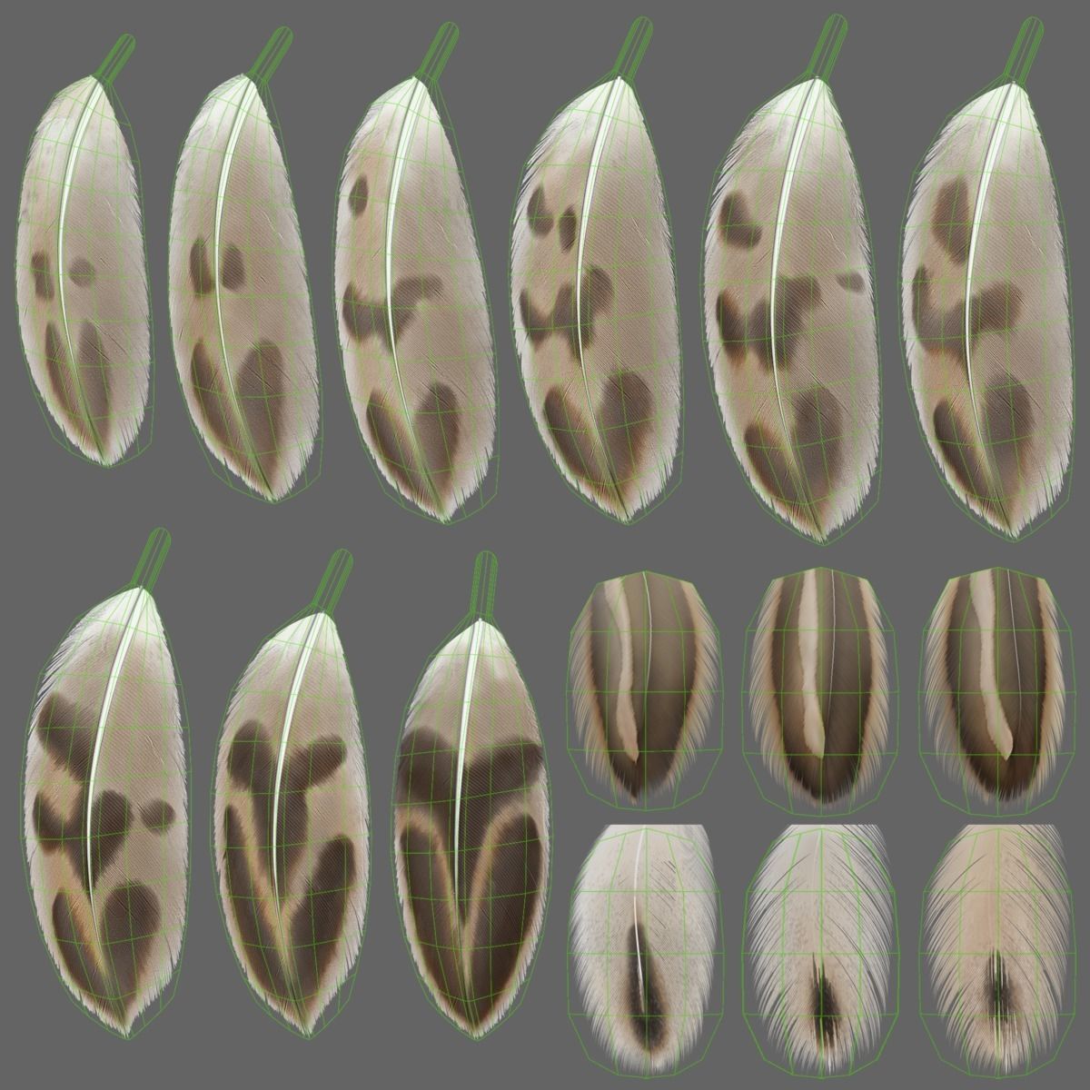 Mallard Female Animated VFX Grace 3D model_36