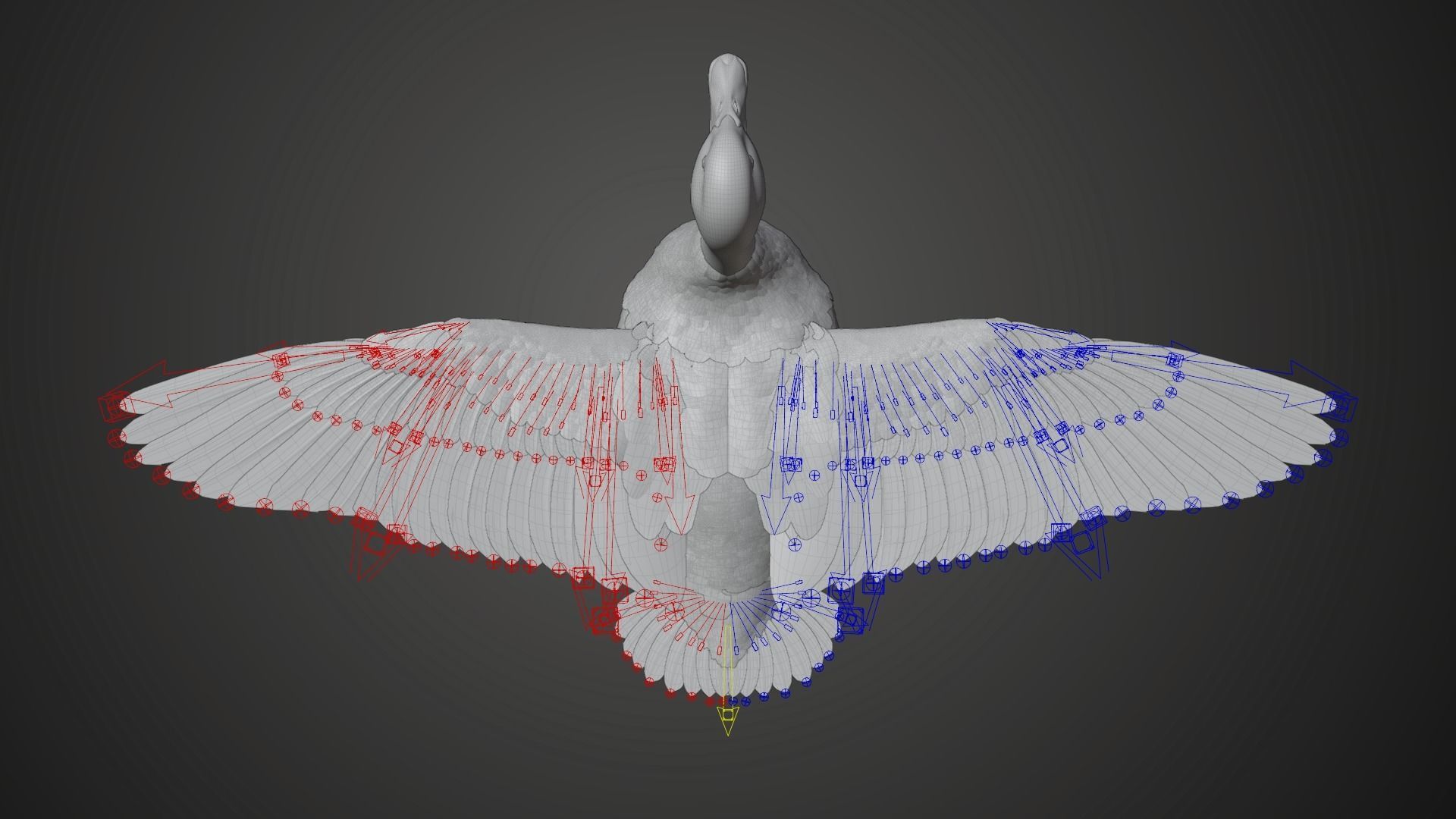 Mallard Female Animated VFX Grace 3D model_18