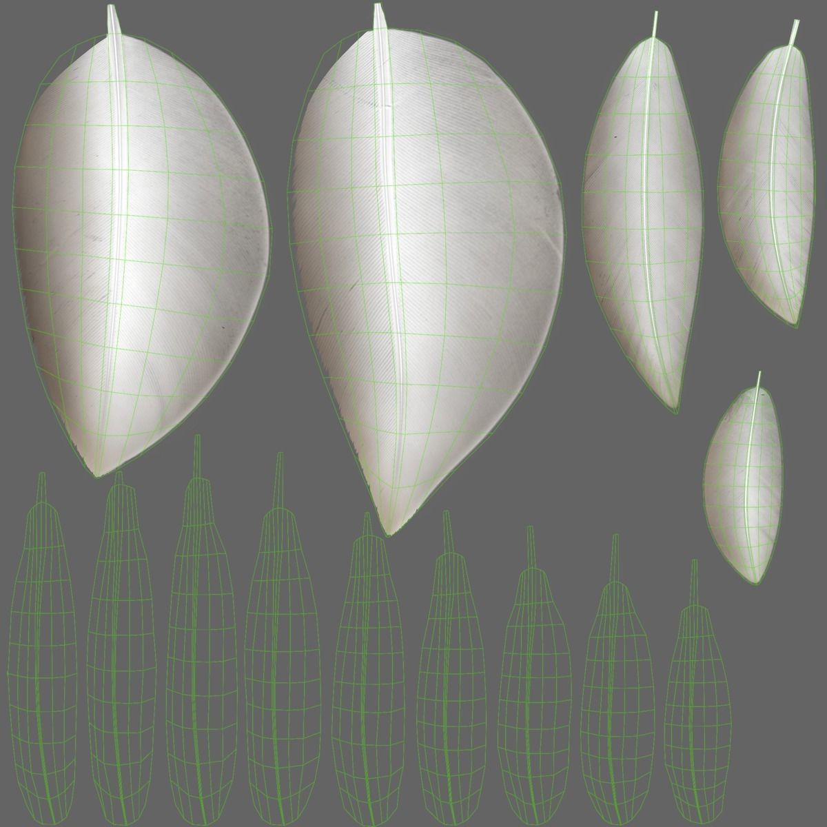 Mallard Female Animated VFX Grace 3D model_34