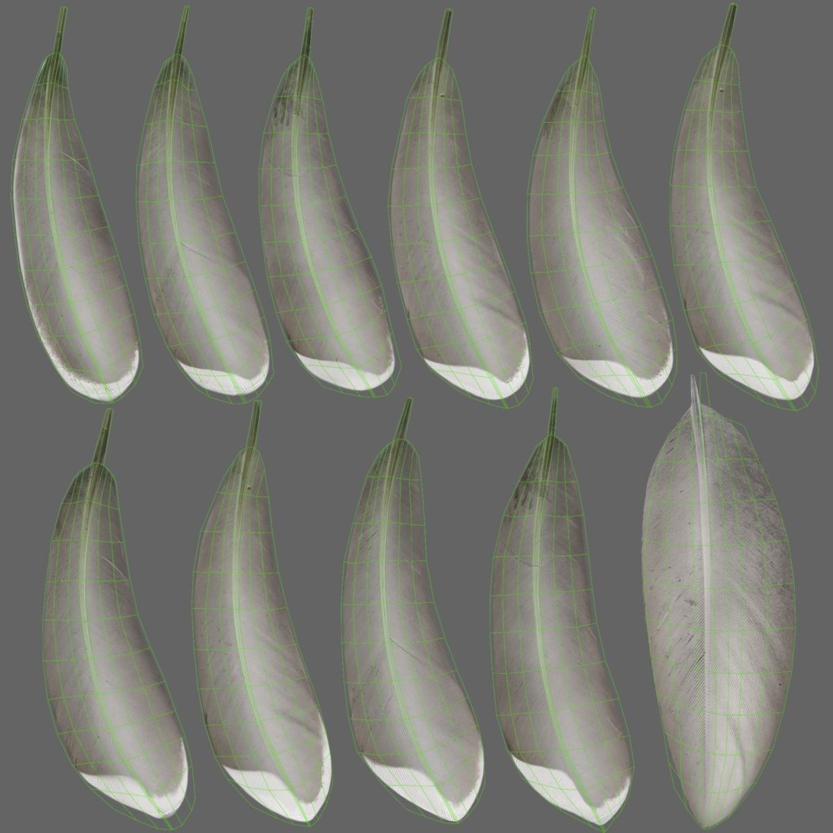 Mallard Female Animated VFX Grace 3D model_32