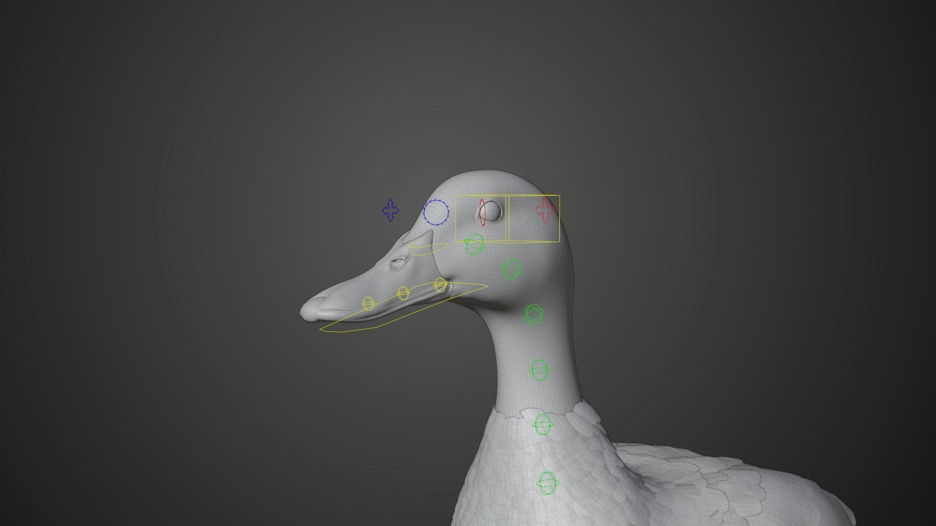 Mallard Female Animated VFX Grace 3D model_14