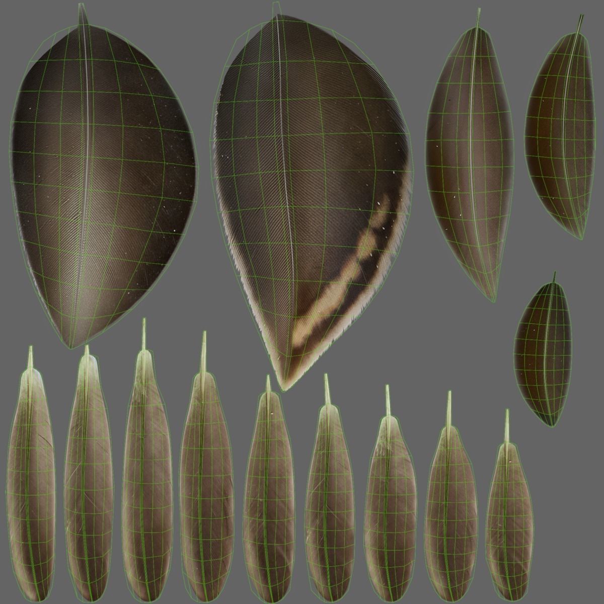 Mallard Female Animated VFX Grace 3D model_33