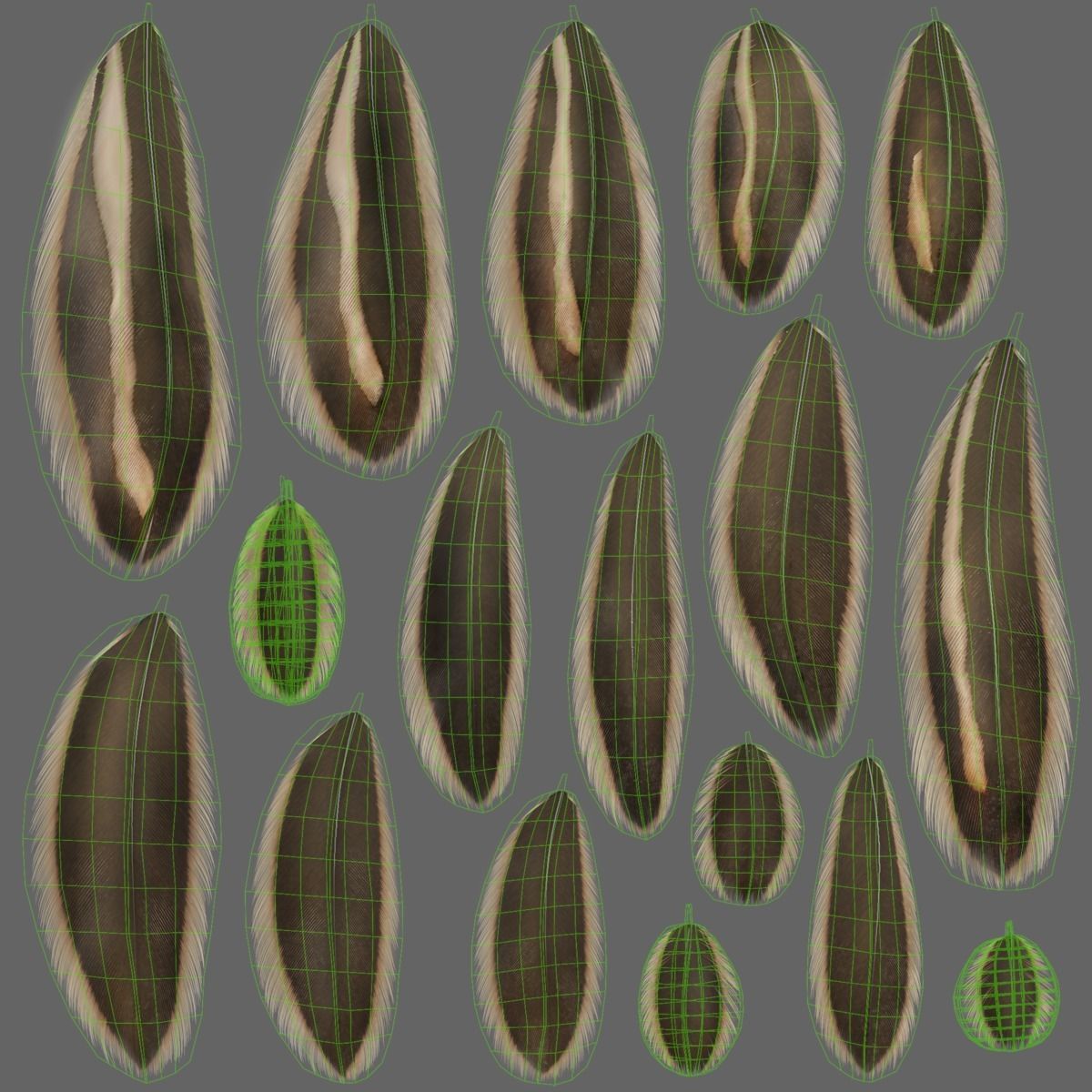 Mallard Female Animated VFX Grace 3D model_24