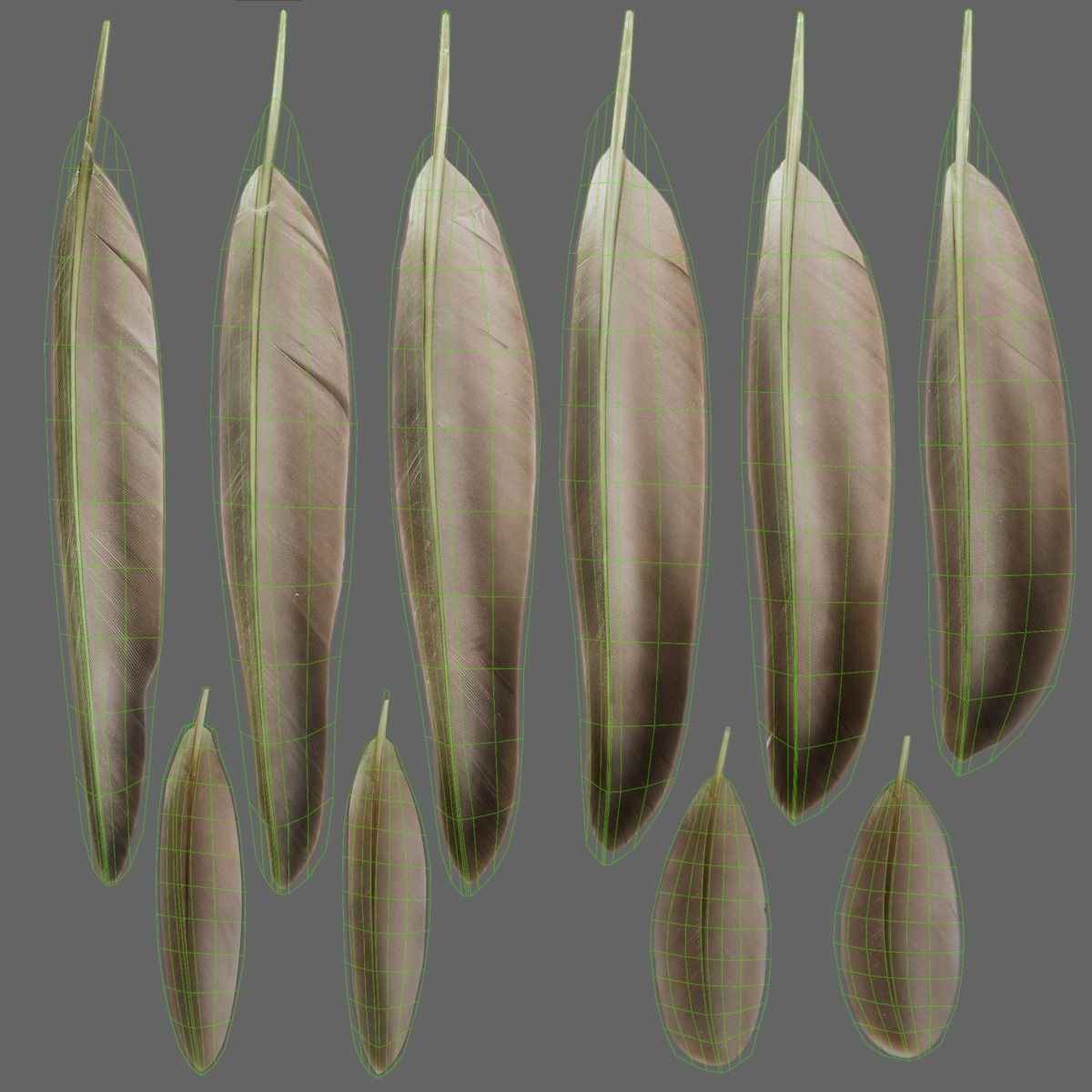 Mallard Female Animated VFX Grace 3D model_30