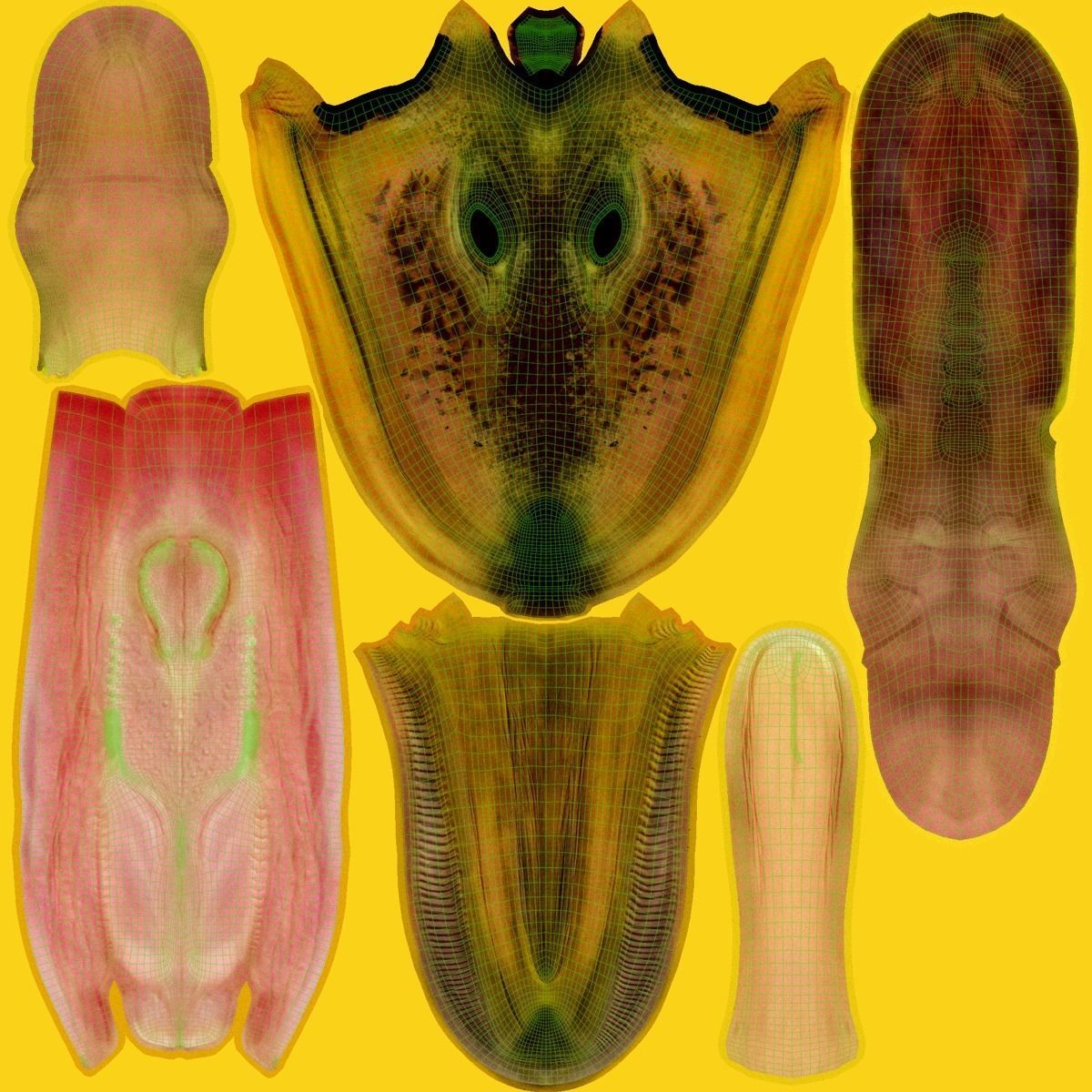 Mallard Female Animated VFX Grace 3D model_40