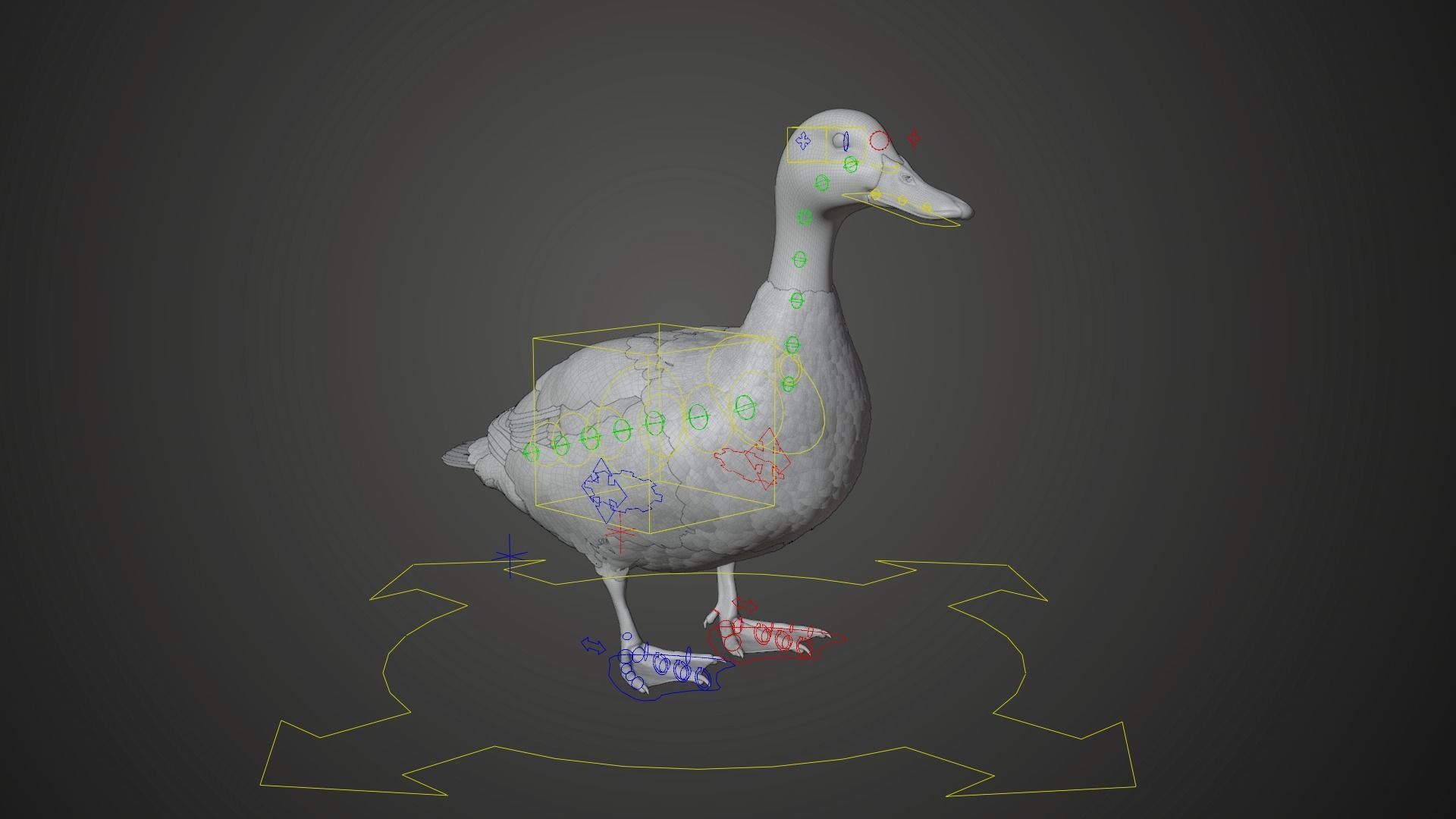 Mallard Female Animated VFX Grace 3D model_13