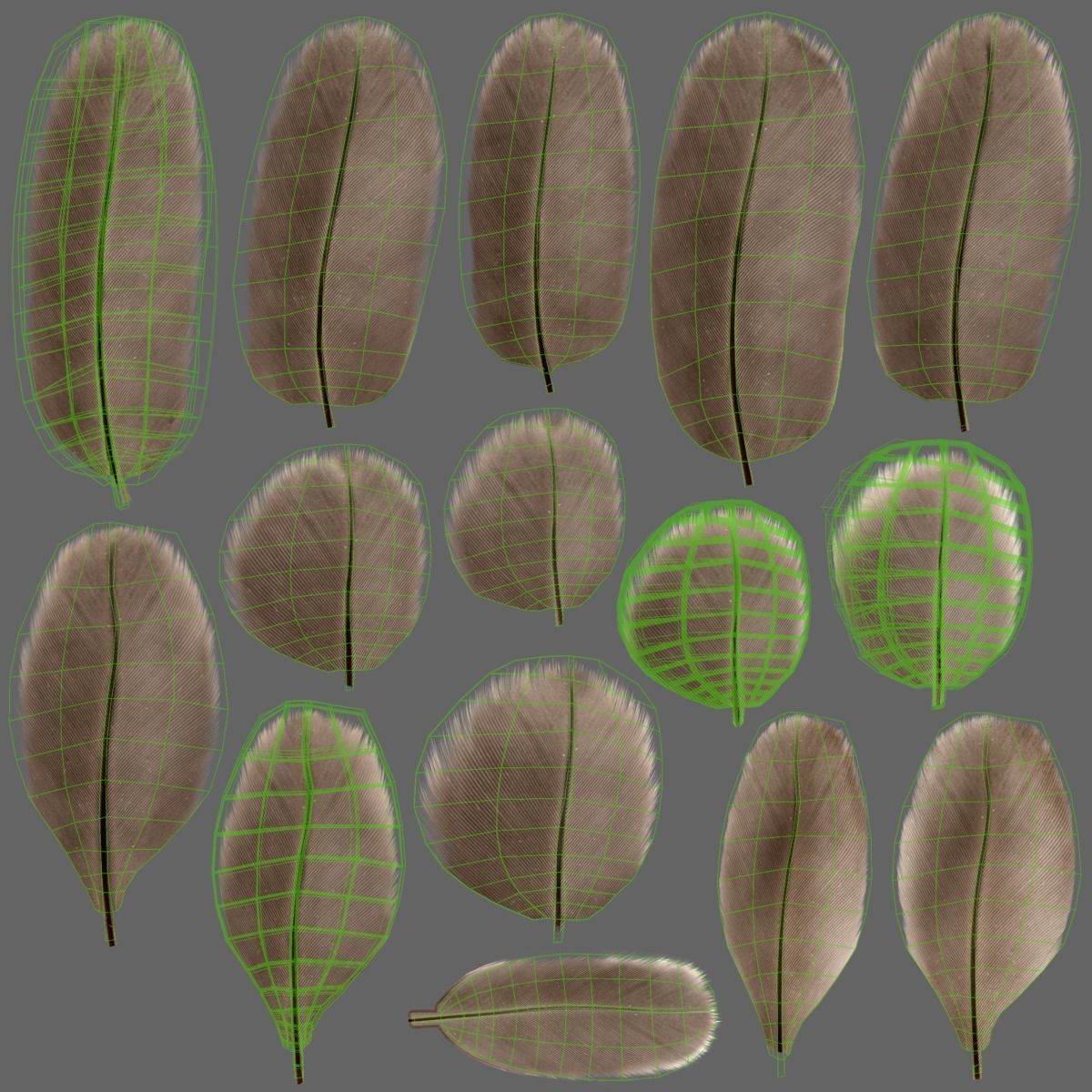 Mallard Female Animated VFX Grace 3D model_26