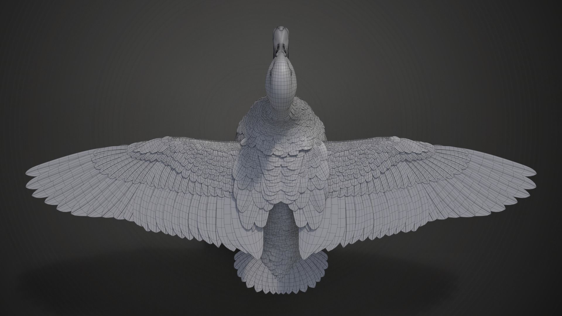 Mallard Female Animated VFX Grace 3D model_22