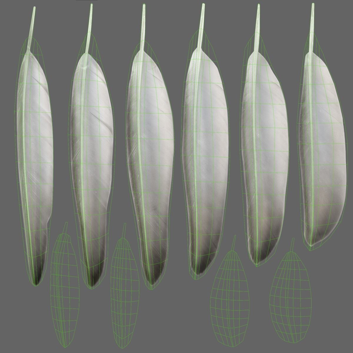 Mallard Female Animated VFX Grace 3D model_37