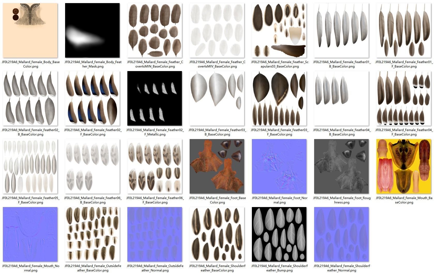 Mallard Female Animated VFX Grace 3D model_23