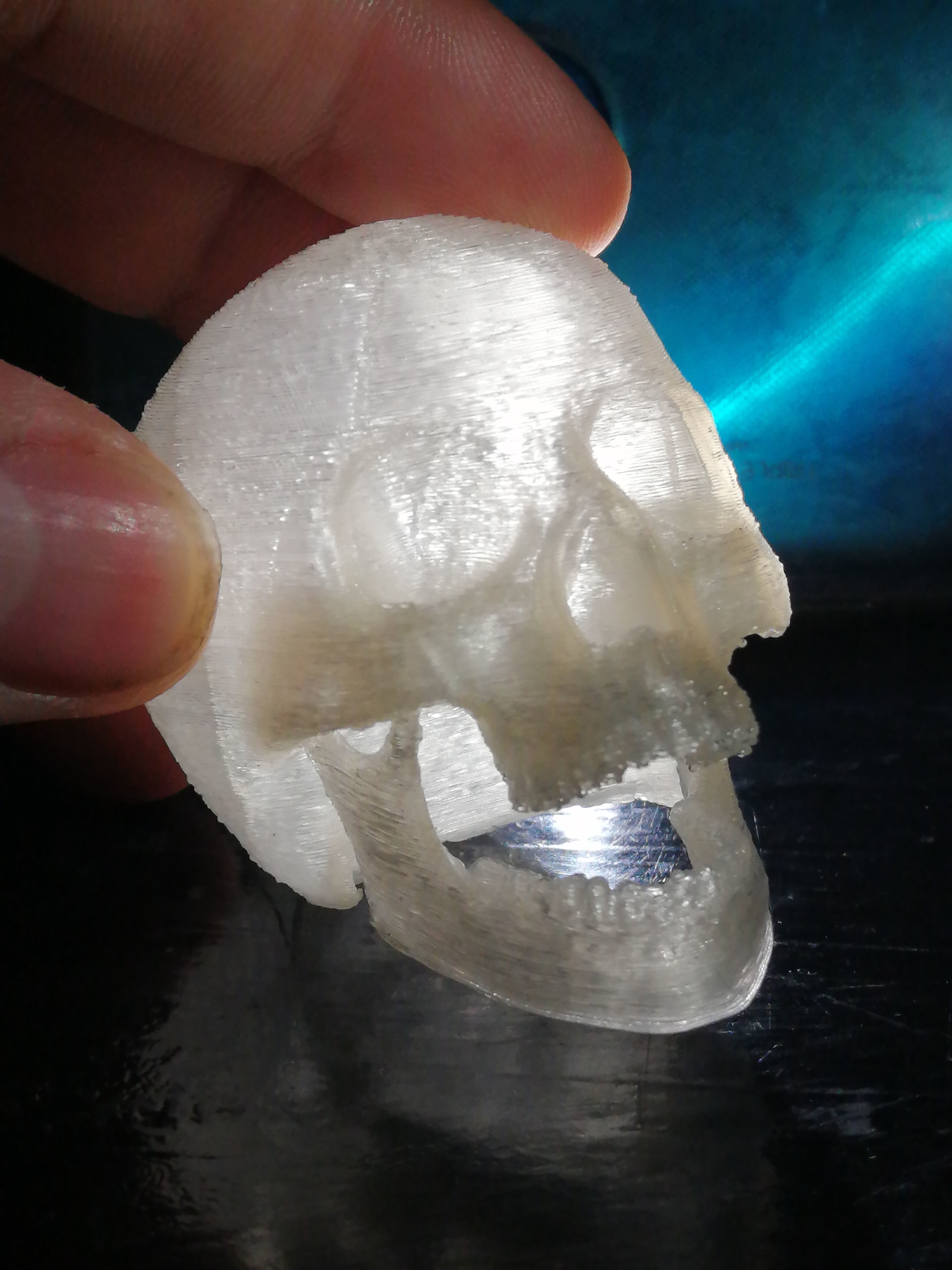 articulated skull 3D print model_2