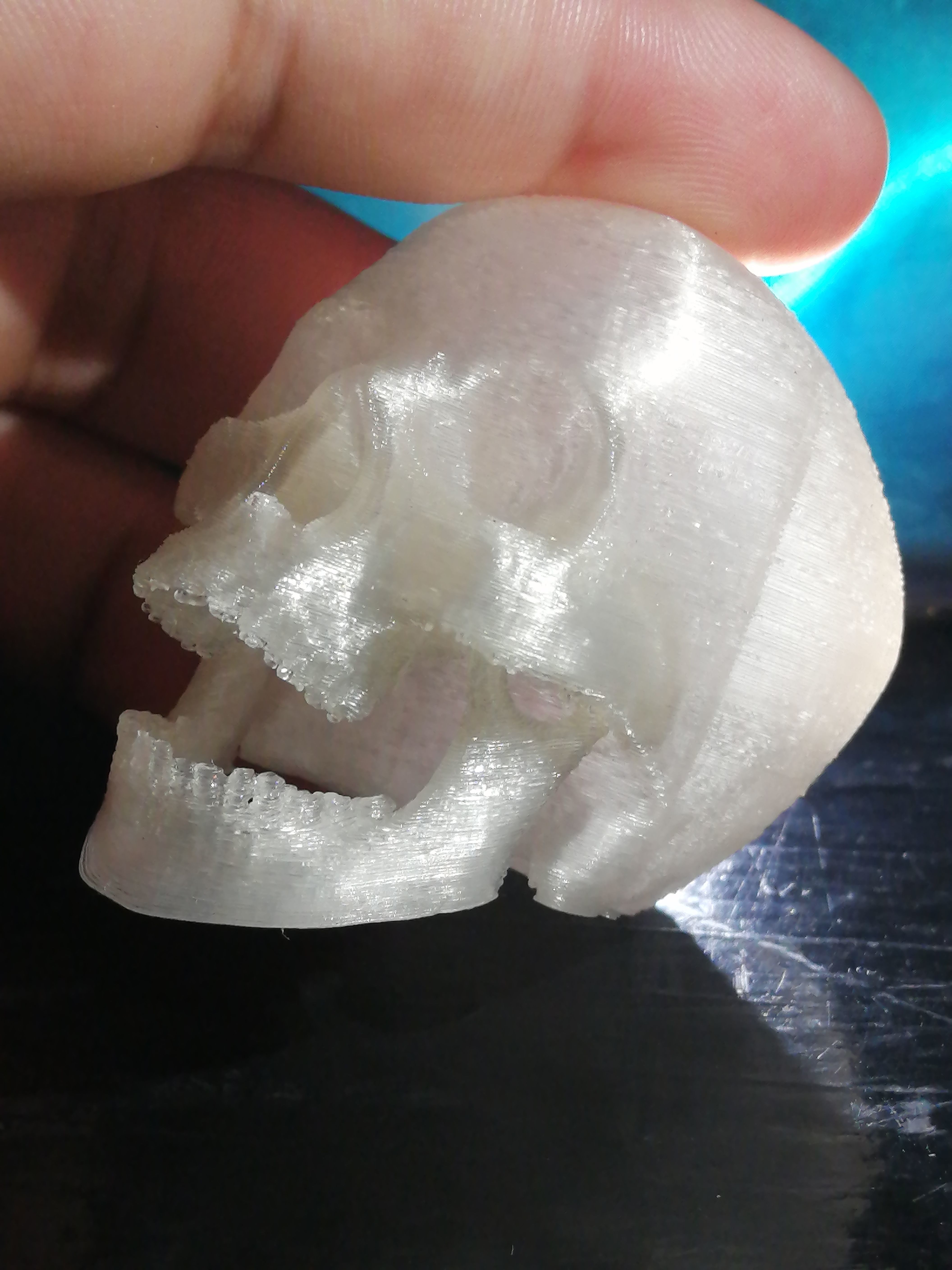 articulated skull 3D print model_1
