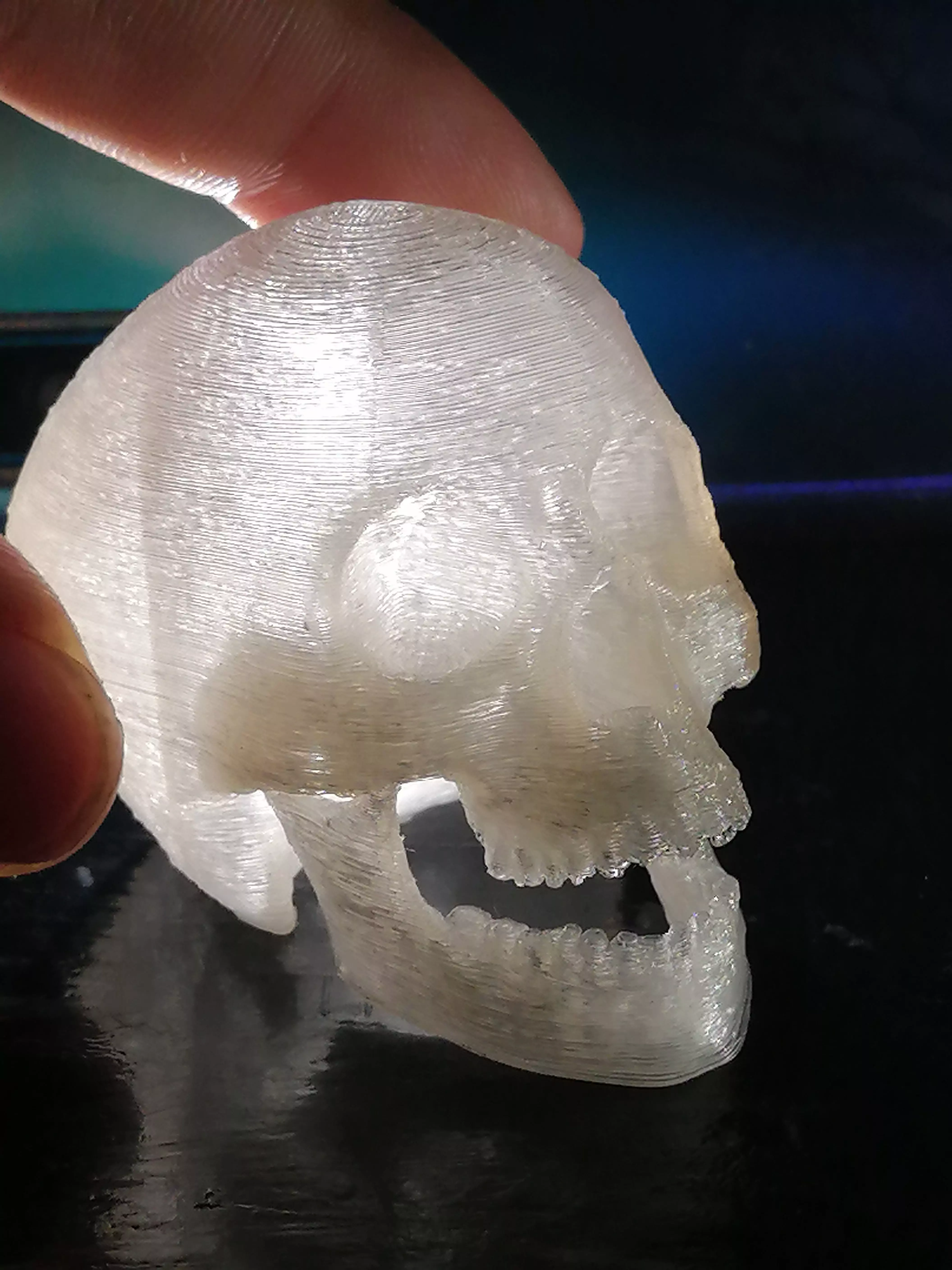 articulated skull 3D print model_0
