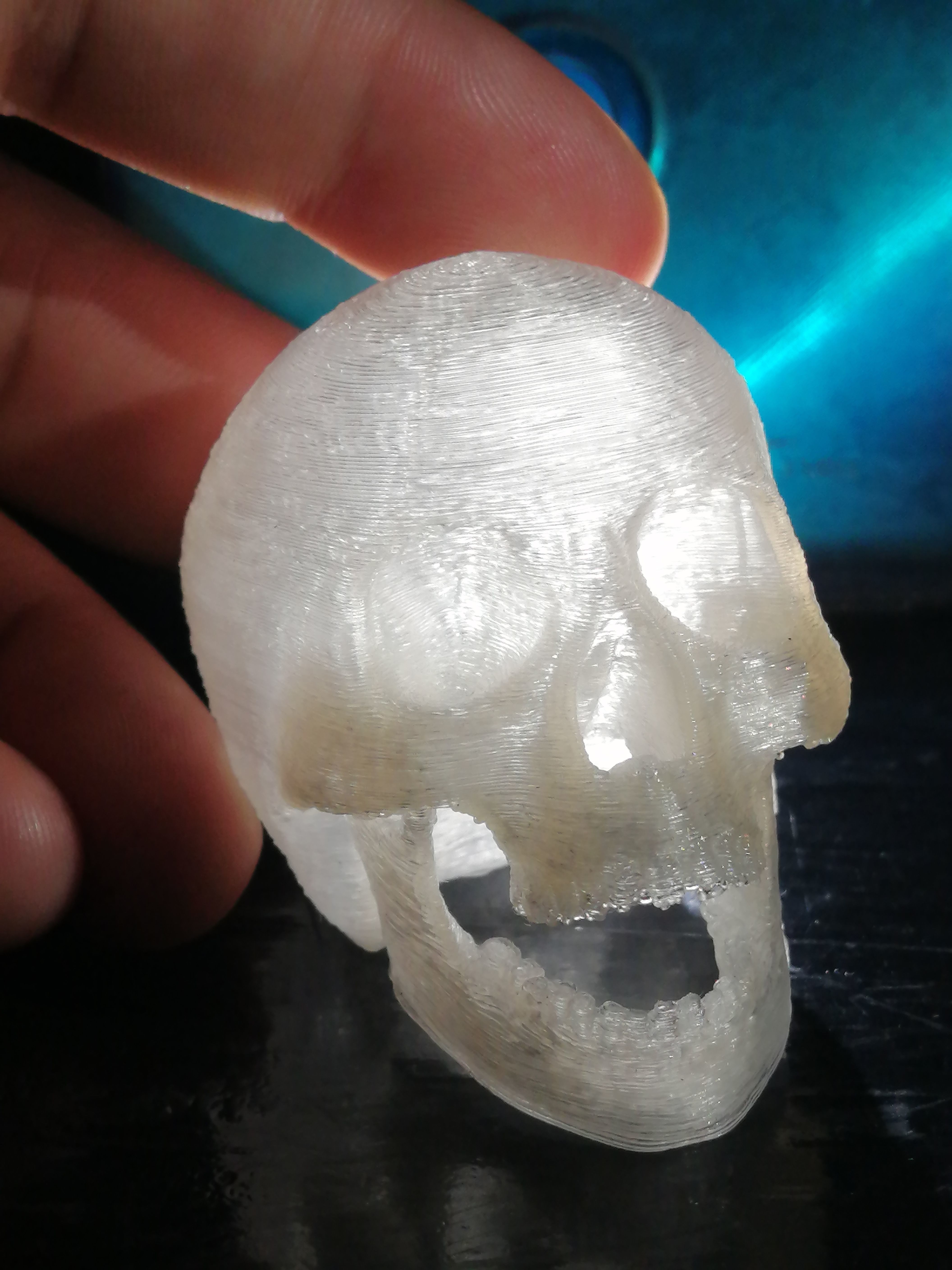 articulated skull 3D print model_3