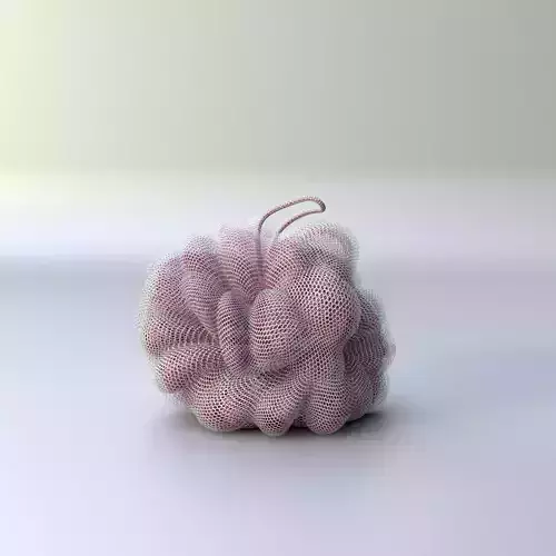 Shower sponge