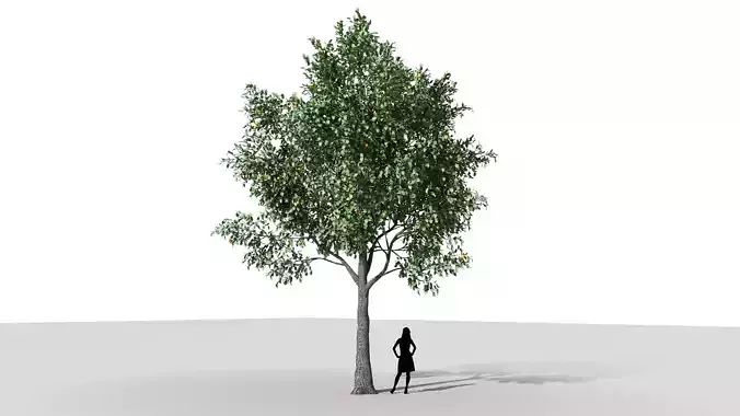 Low Poly Orange tree