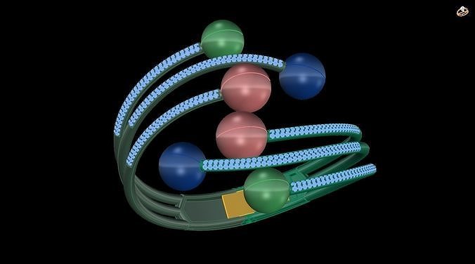bracelet molecular structure of polypeptide chain 3D print model