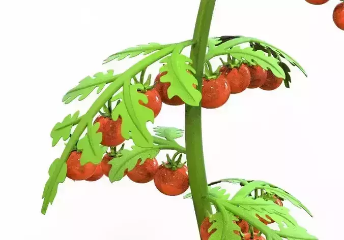 Tomato Tree 3D print model