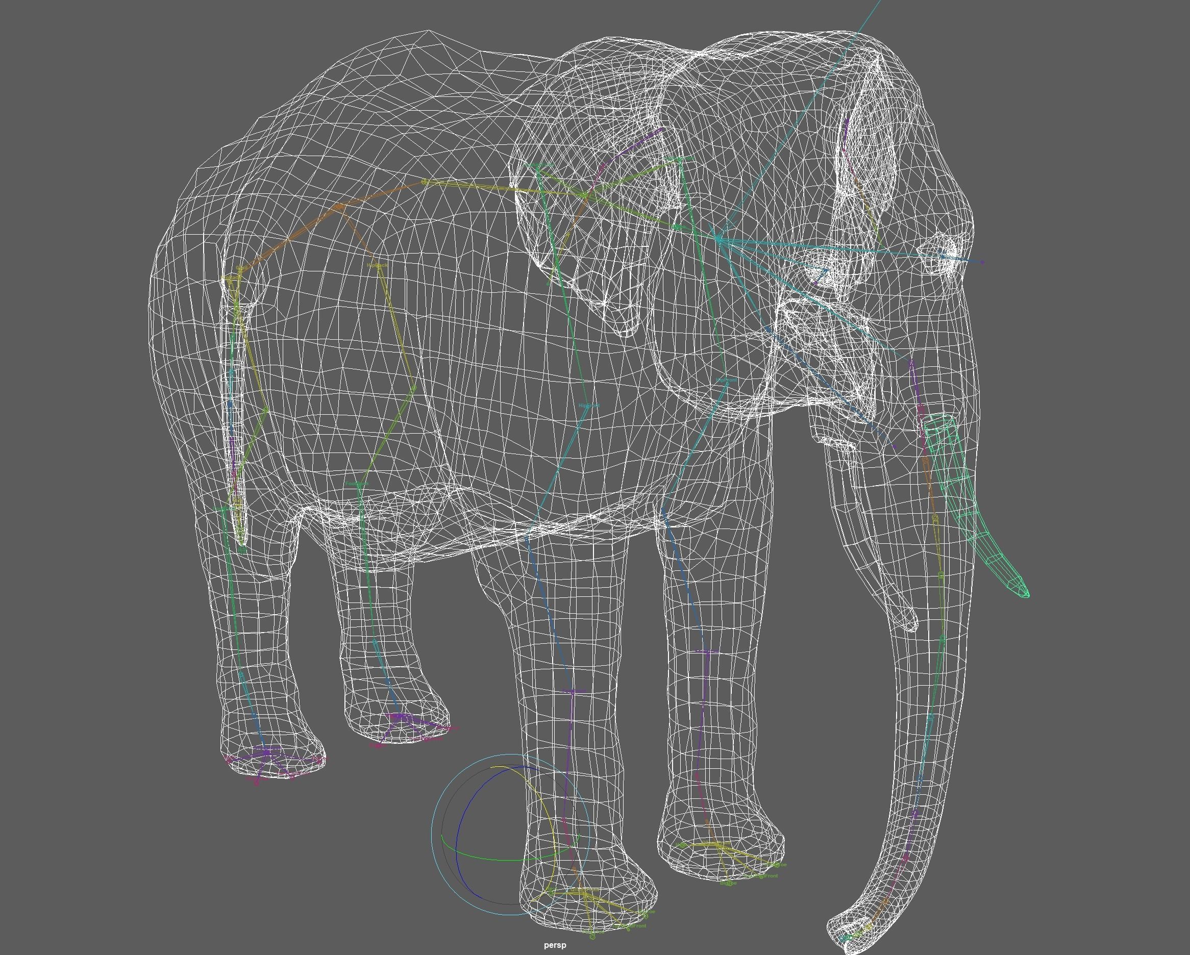 Asian Elephant Rig 3D model_16