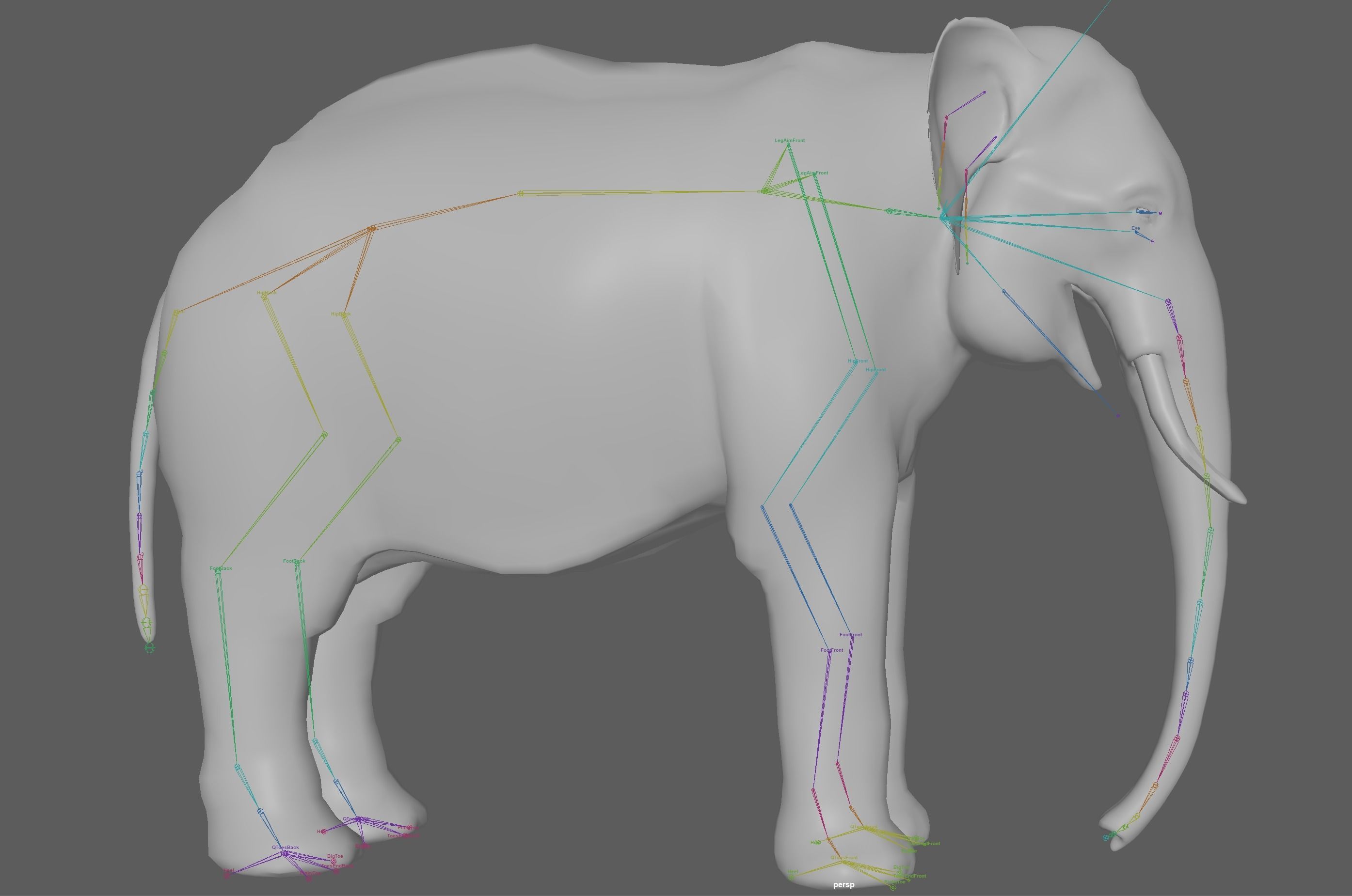 Asian Elephant Rig 3D model_20