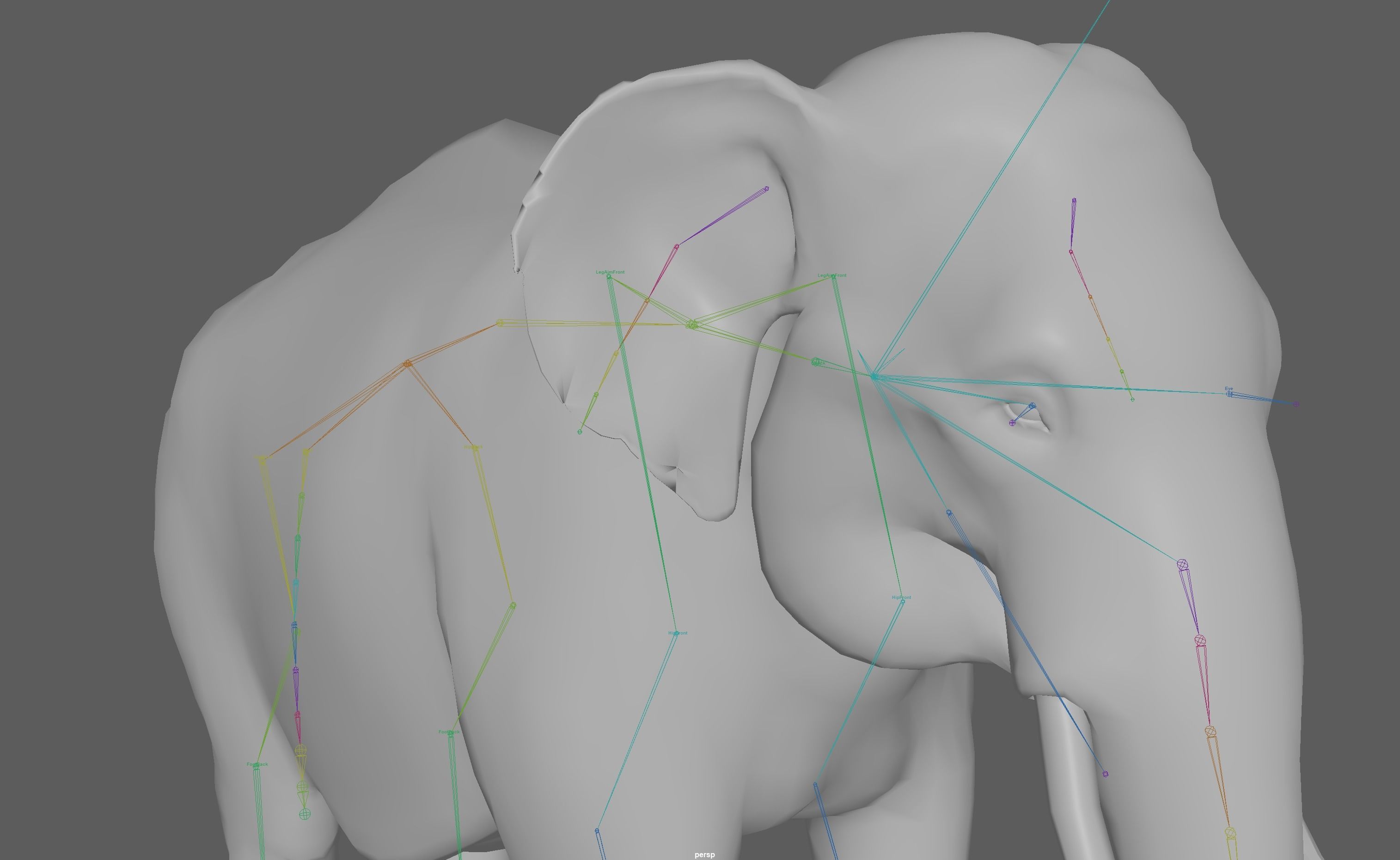 Asian Elephant Rig 3D model_14