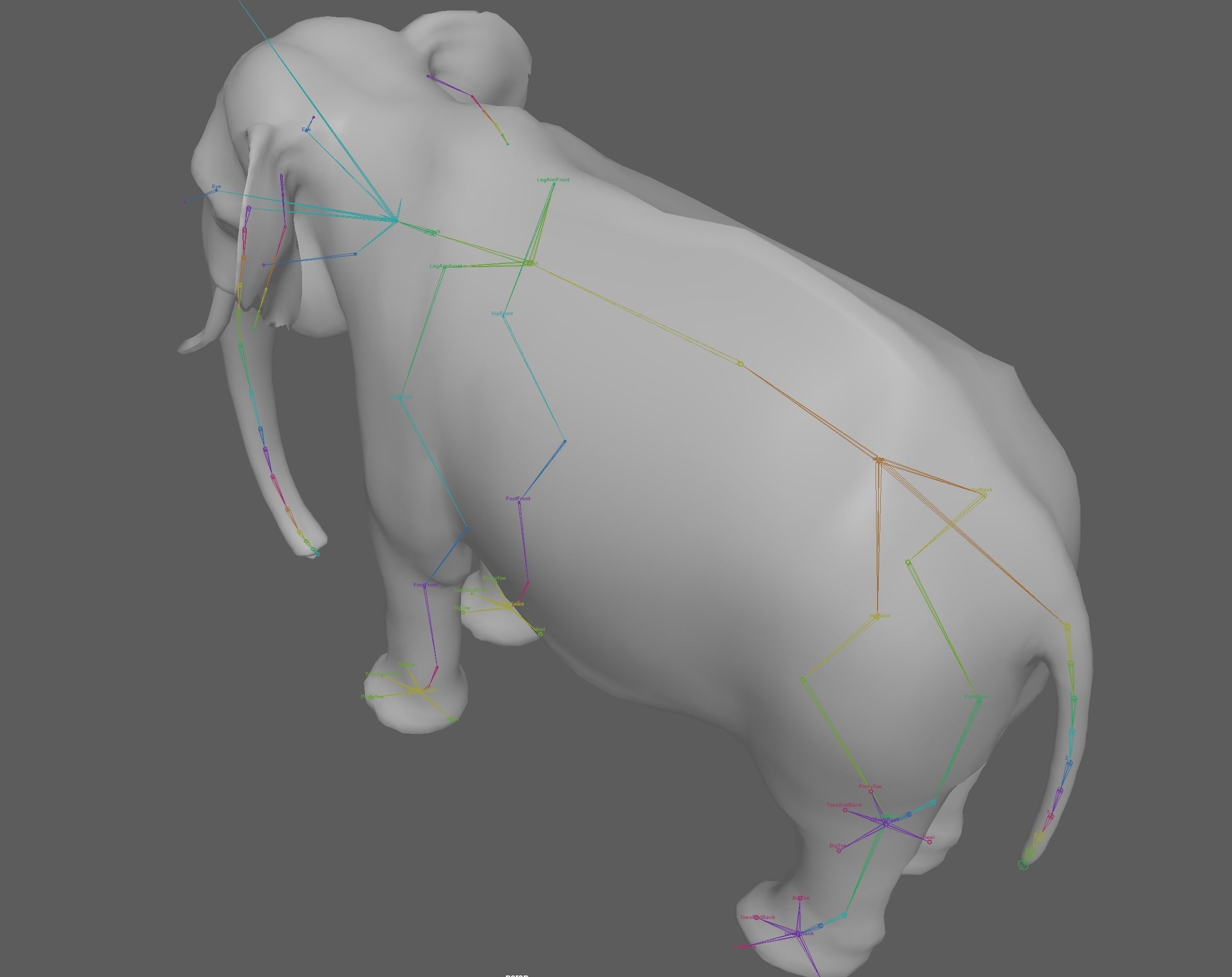 Asian Elephant Rig 3D model_22