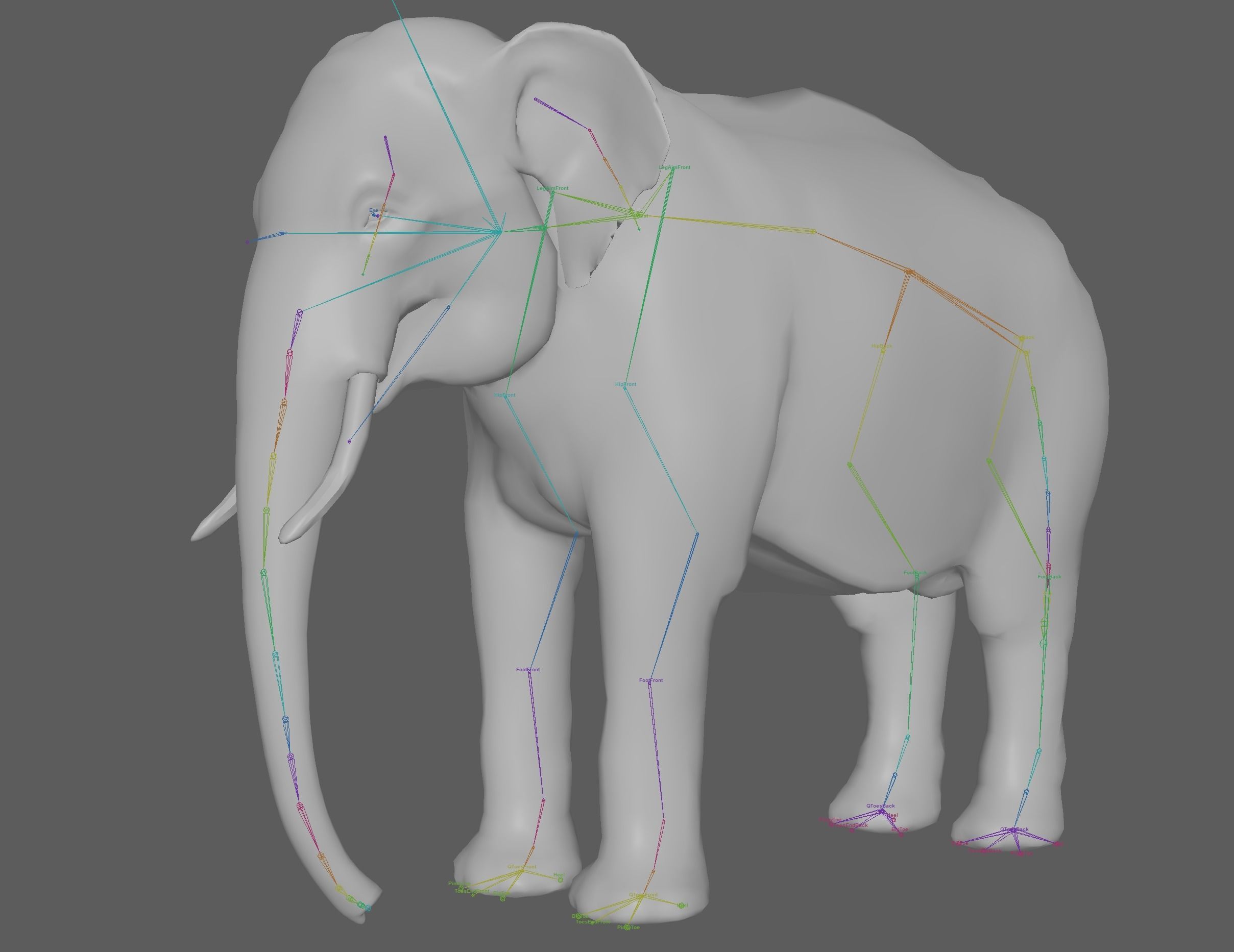 Asian Elephant Rig 3D model_10
