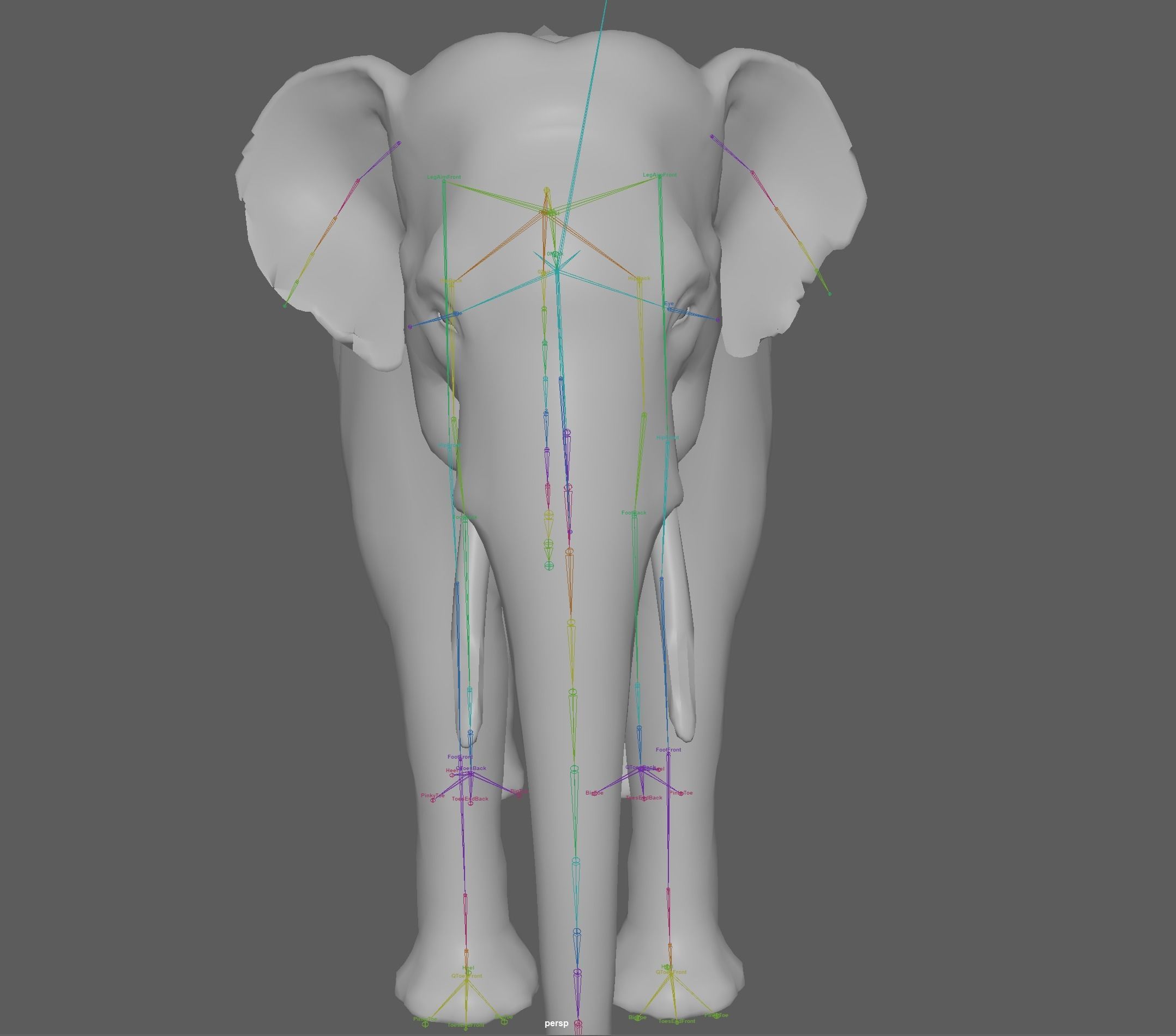 Asian Elephant Rig 3D model_17