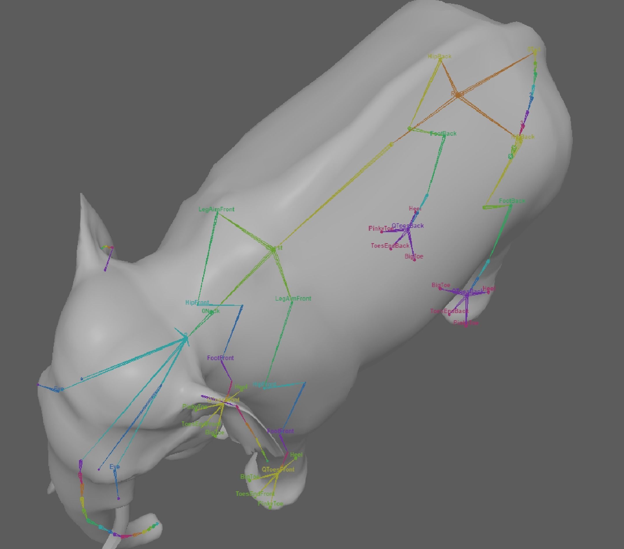 Asian Elephant Rig 3D model_11