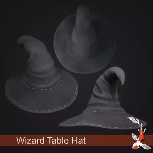 Wizard Table Hat