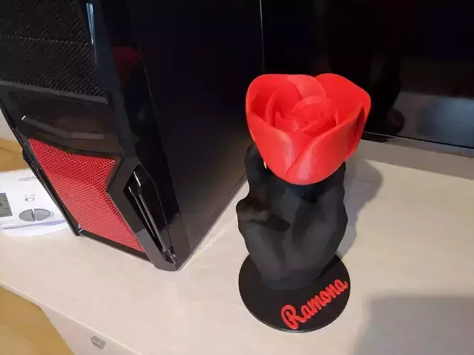 Rose with hand stand 3D print model