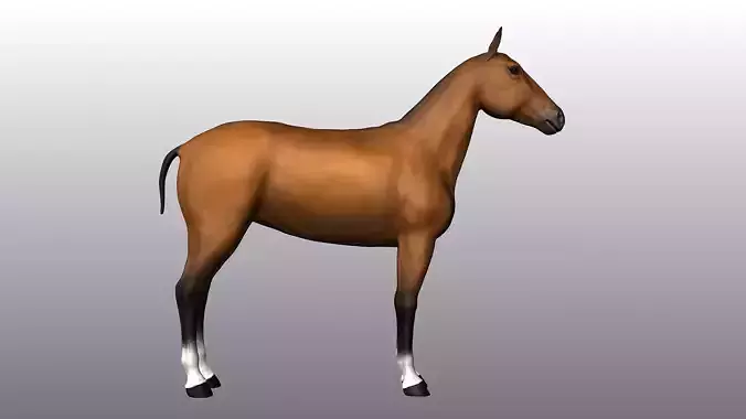 Horse