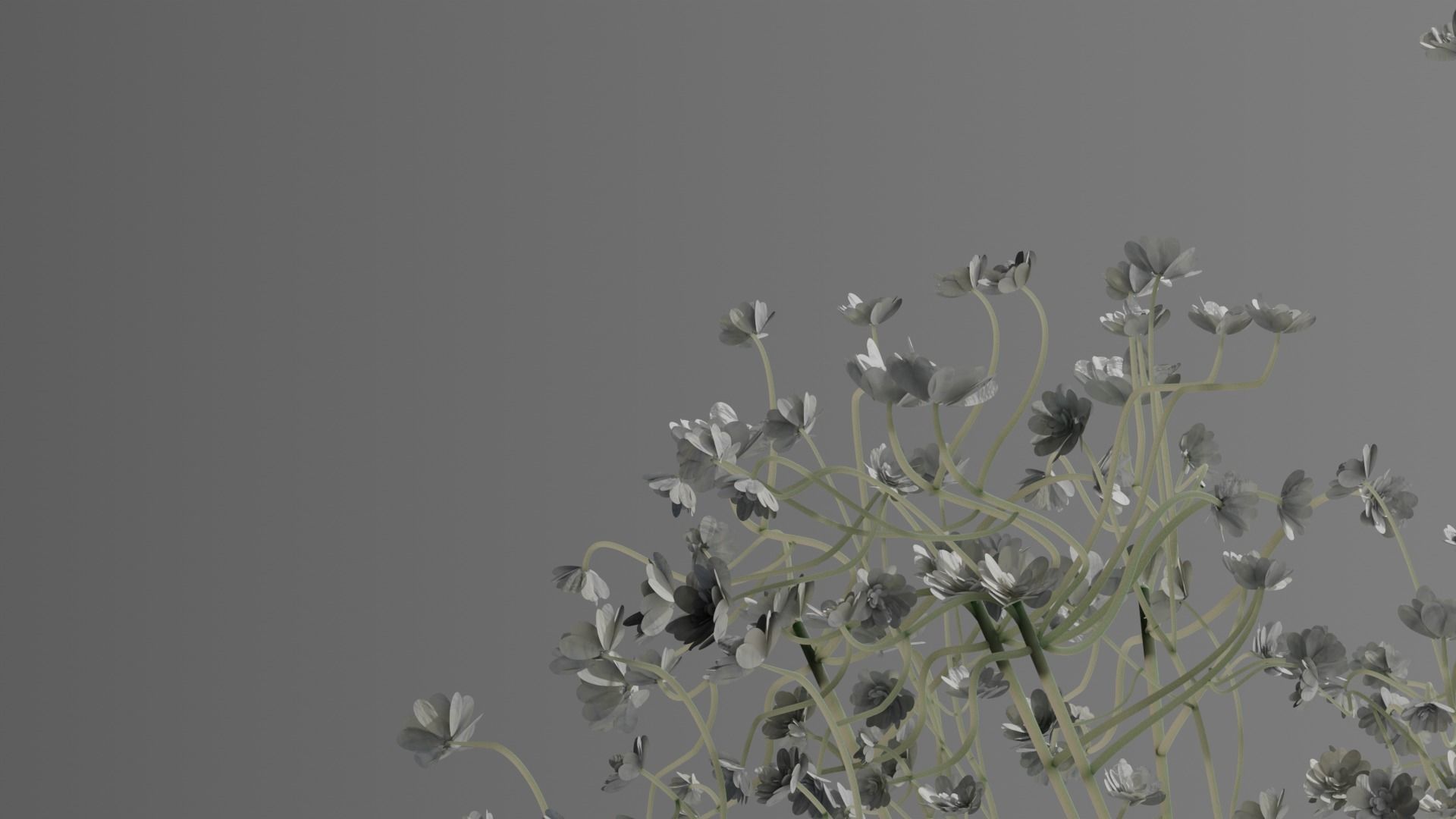 Gypsophiles scene 3D model_2