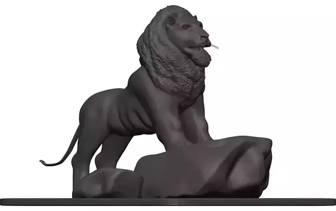Lionn lion on rock 3D model