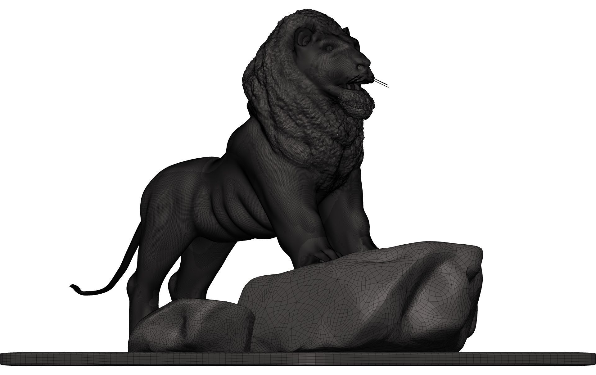 Lionn lion on rock 3D model_12